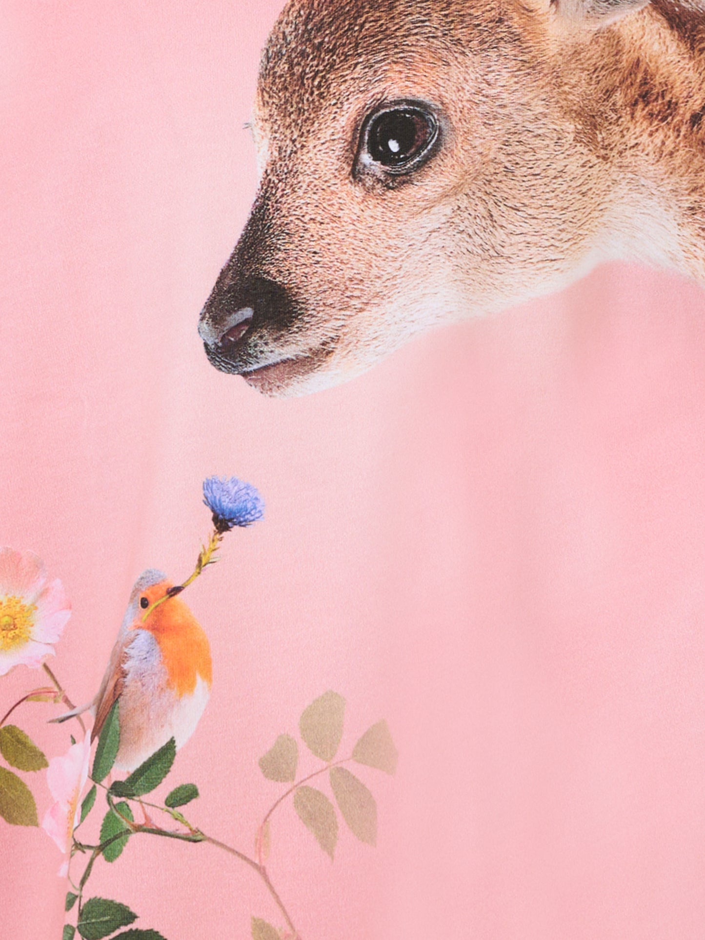 T-shirt Reniza rosa per bambina con fiori e cervo,Molo,2W25A405 9611