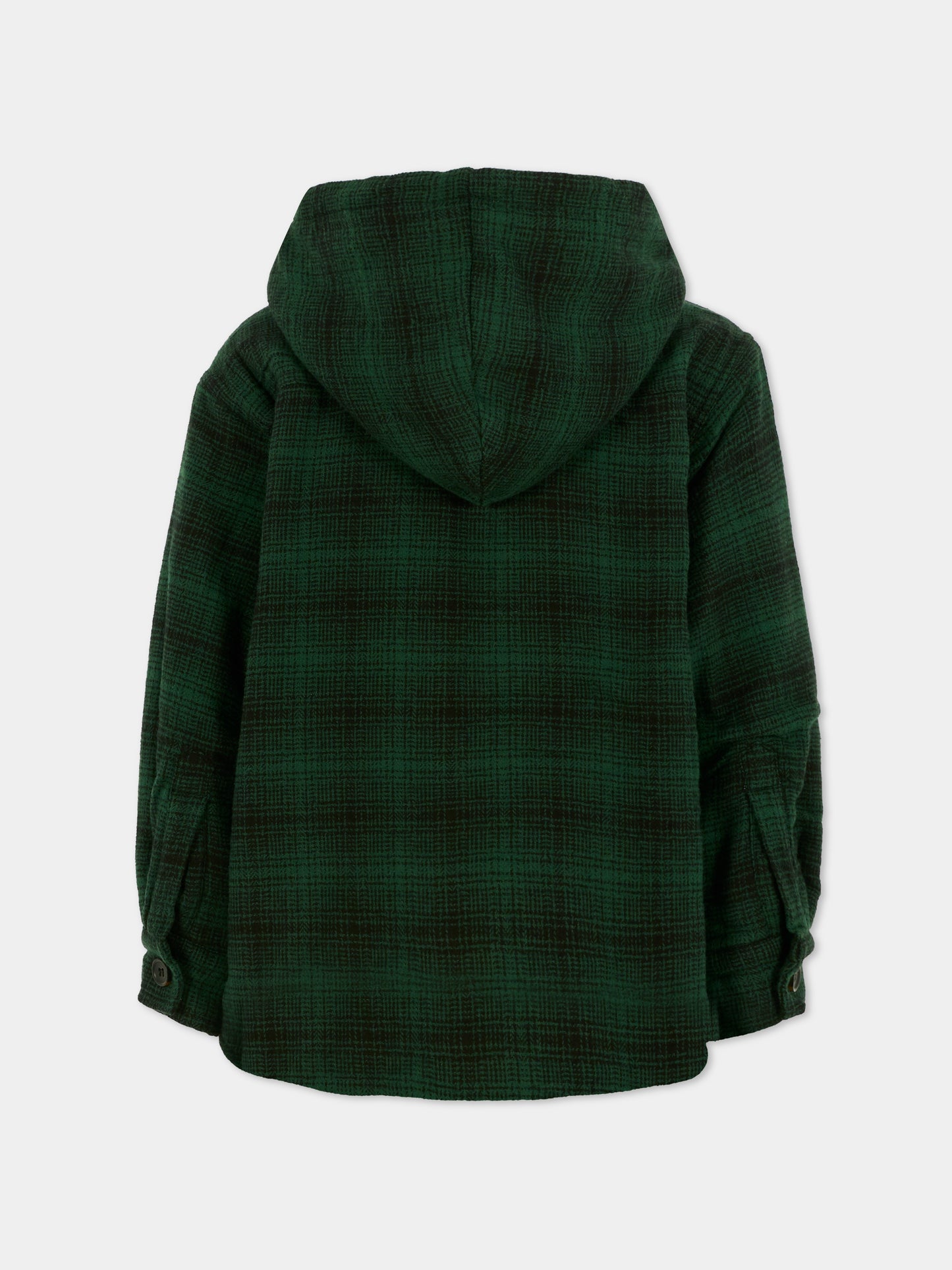 Giubbotto Hamelo verde per bambino,Molo,5W25M314 5972