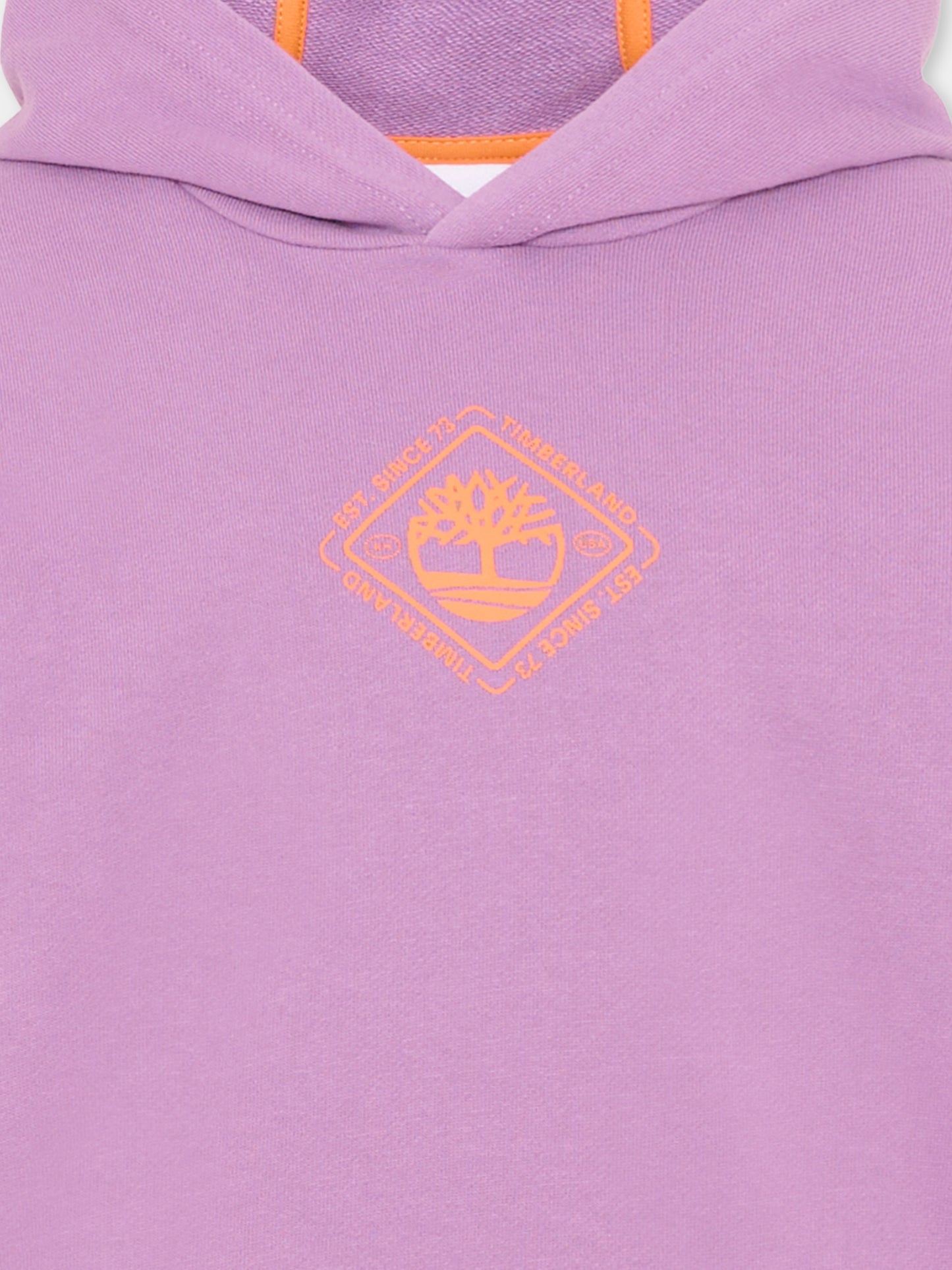 Felpa lilla per bambino con logo,Timberland,T60443 48C