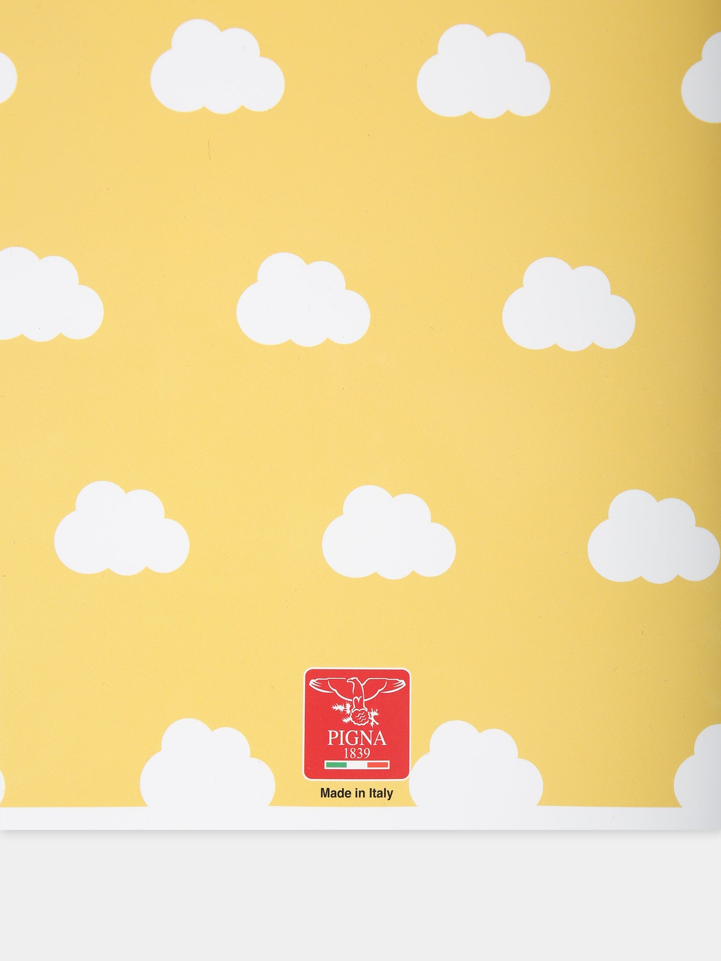 Quaderni Pigna x Cocccolebimbi rosa e verde,Pigna X Coccolebimbi,CELESTE E GIALLO