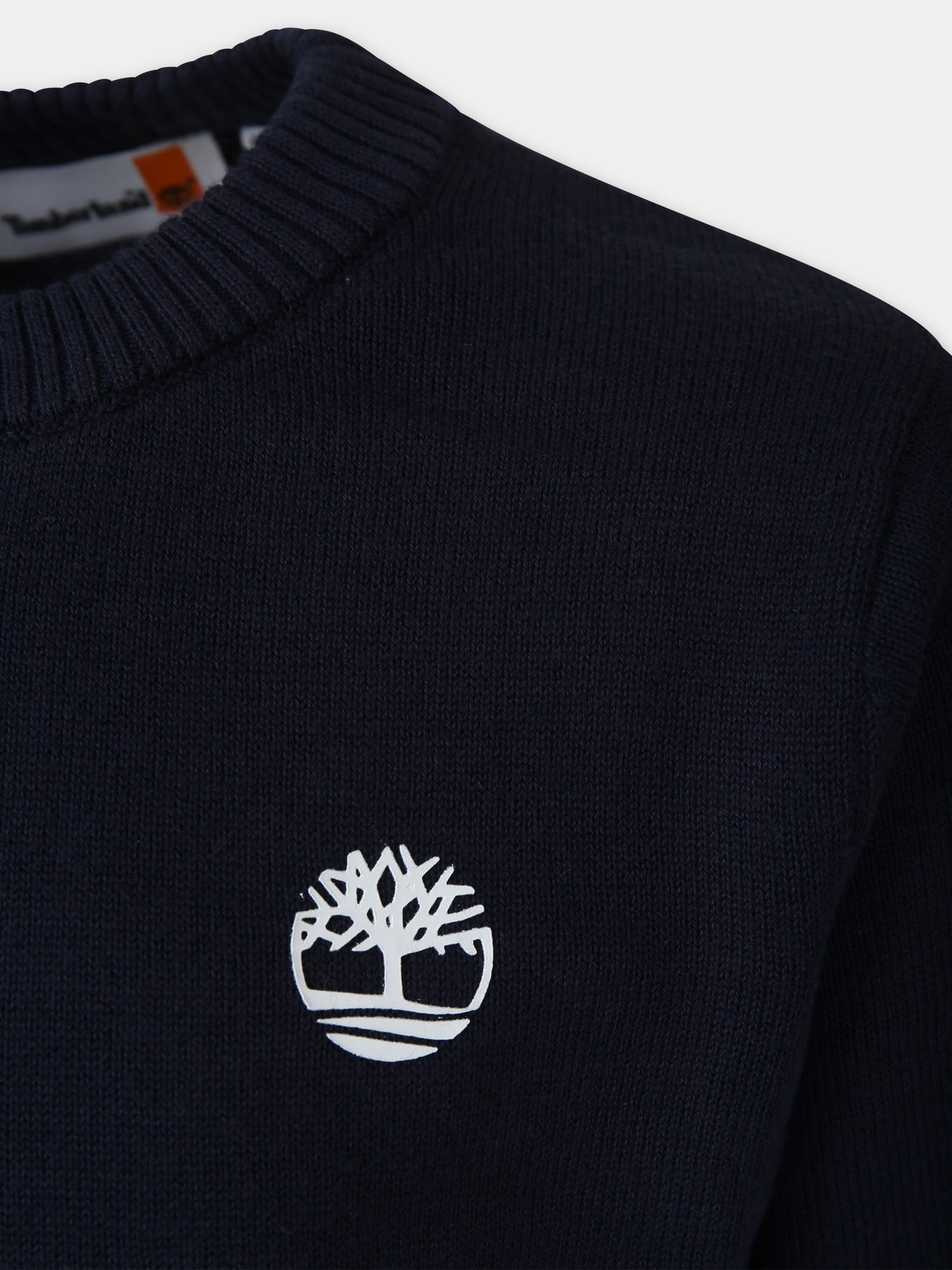 Maglione blu per bambino,Timberland,T25U49 857