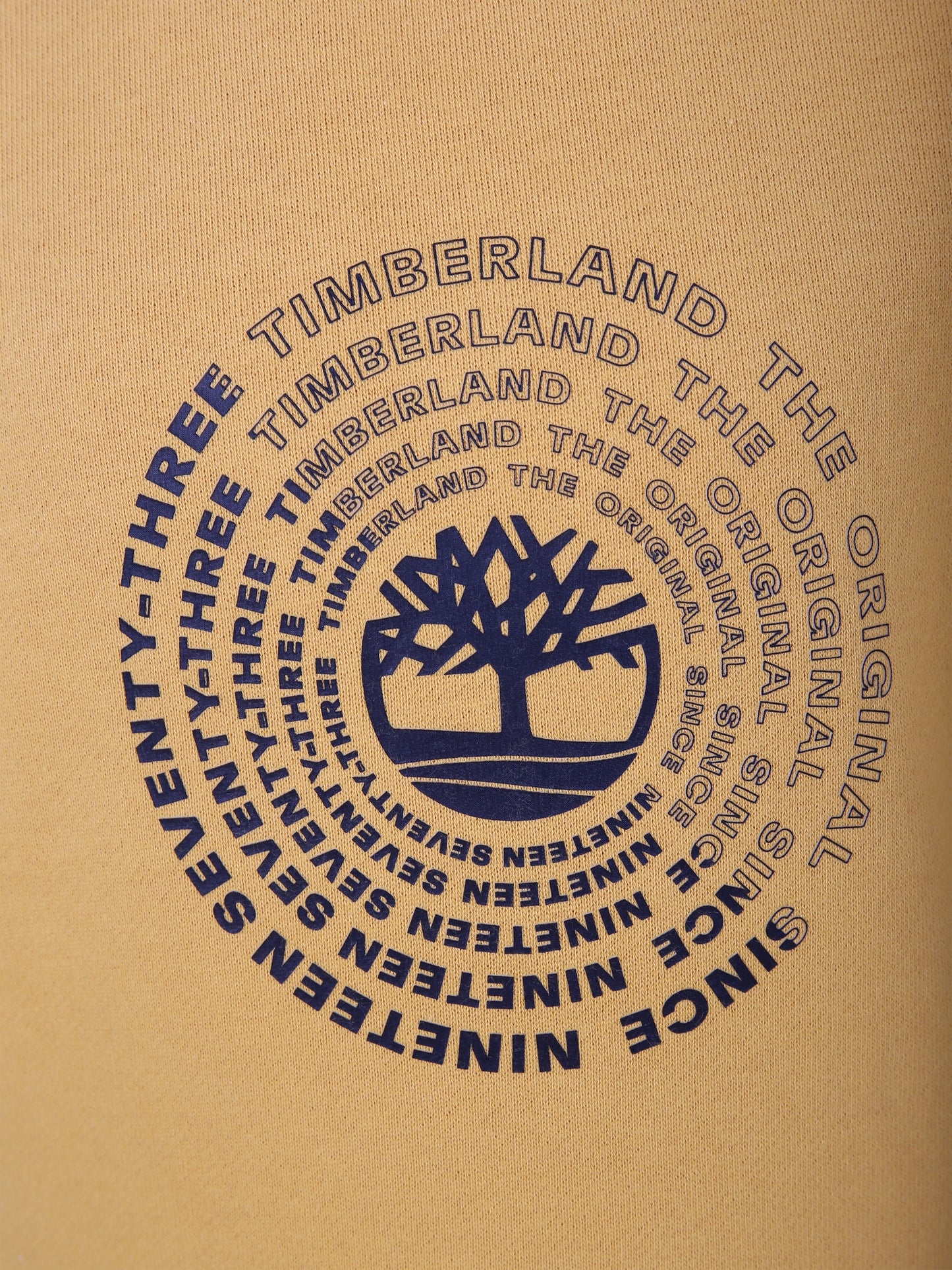 Felpa gialla per bambino con stampa,Timberland,T25U55 575