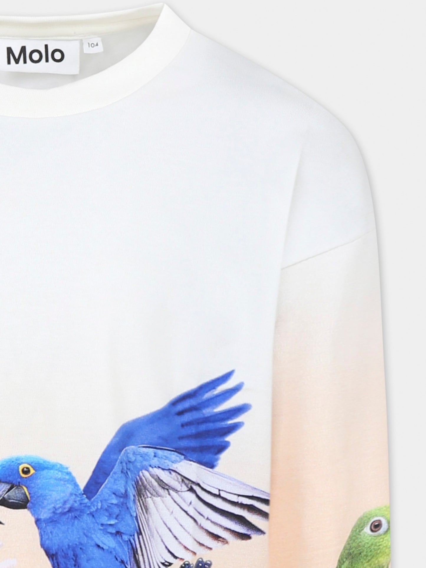 T-shirt Reniza avorio per bambina con pappagalli,Molo,2S25A402 3835