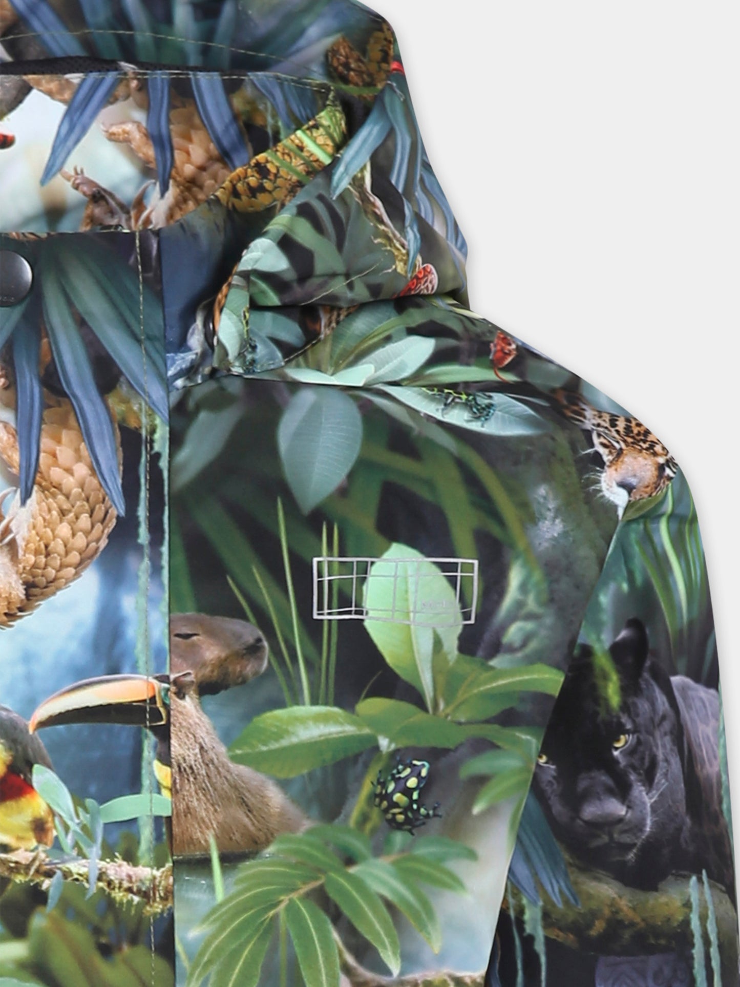 Giacca a vento Waiton verde per bambino con stampa giungla,Molo,5NOSO121 9334