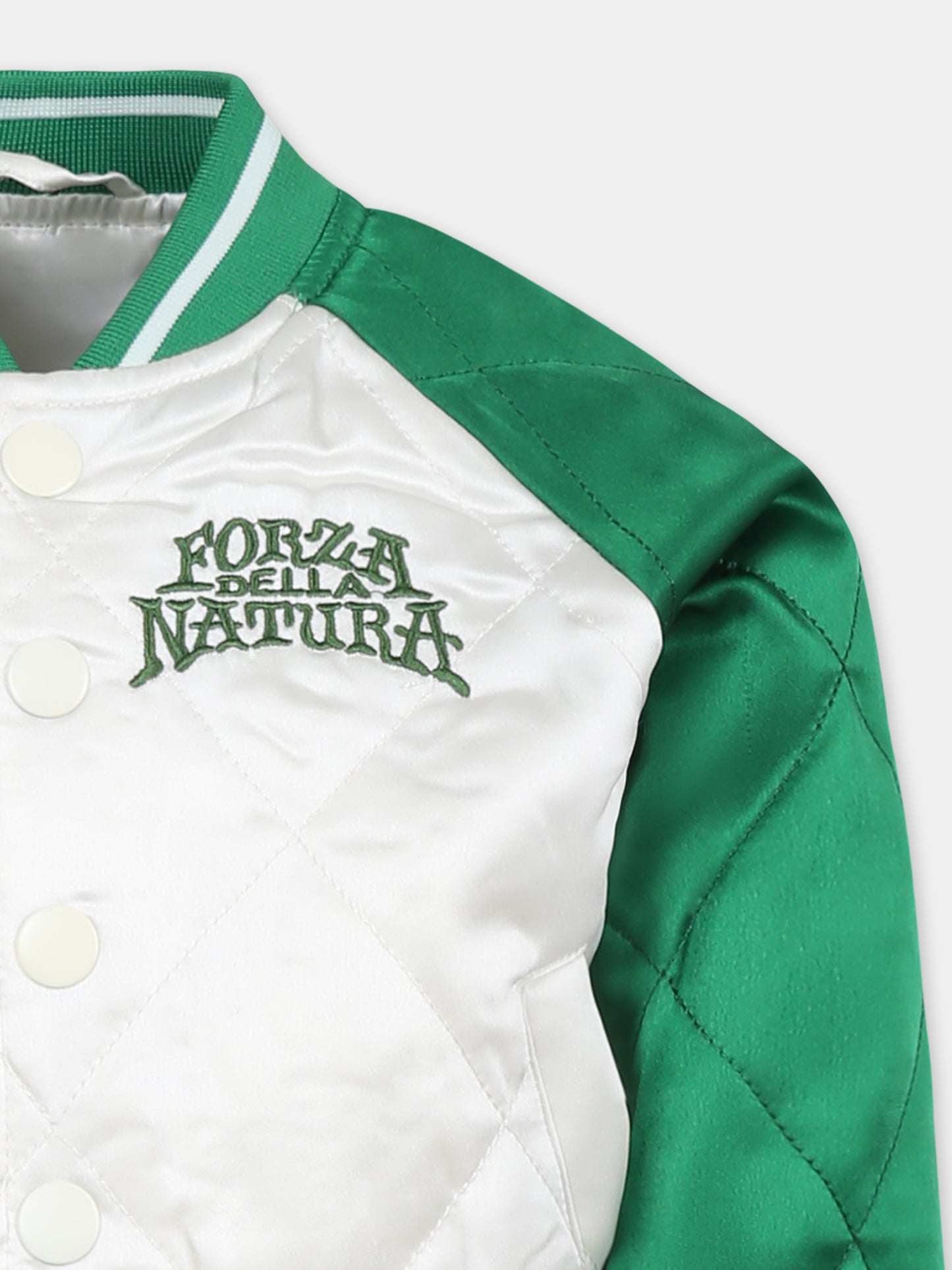 Bomber Haru verde per bambino con giaguaro e serpente,Molo,5S25M309 3903