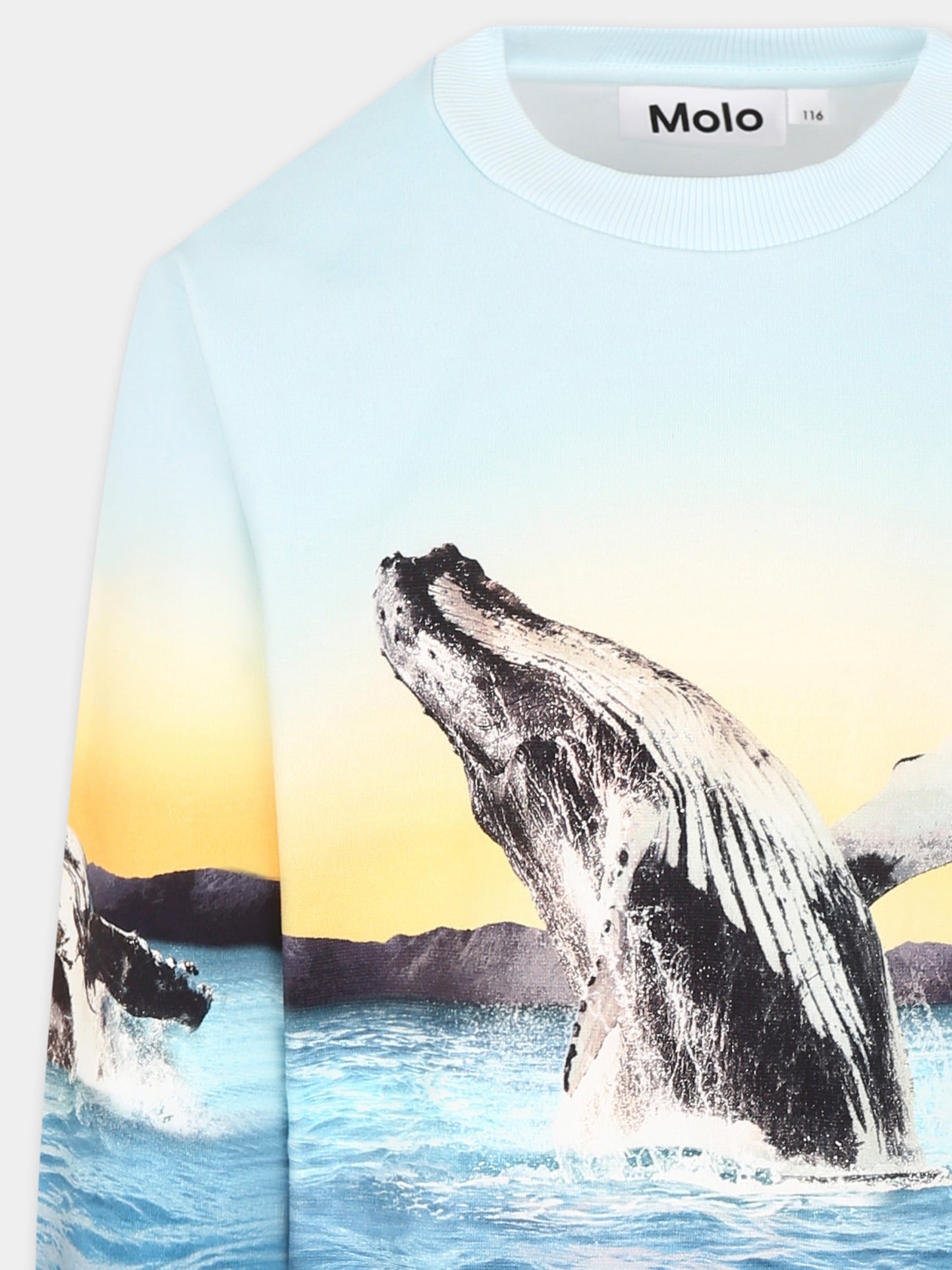 Felpa Miksi celeste per bambino con balena,Molo,1S25J205 3870