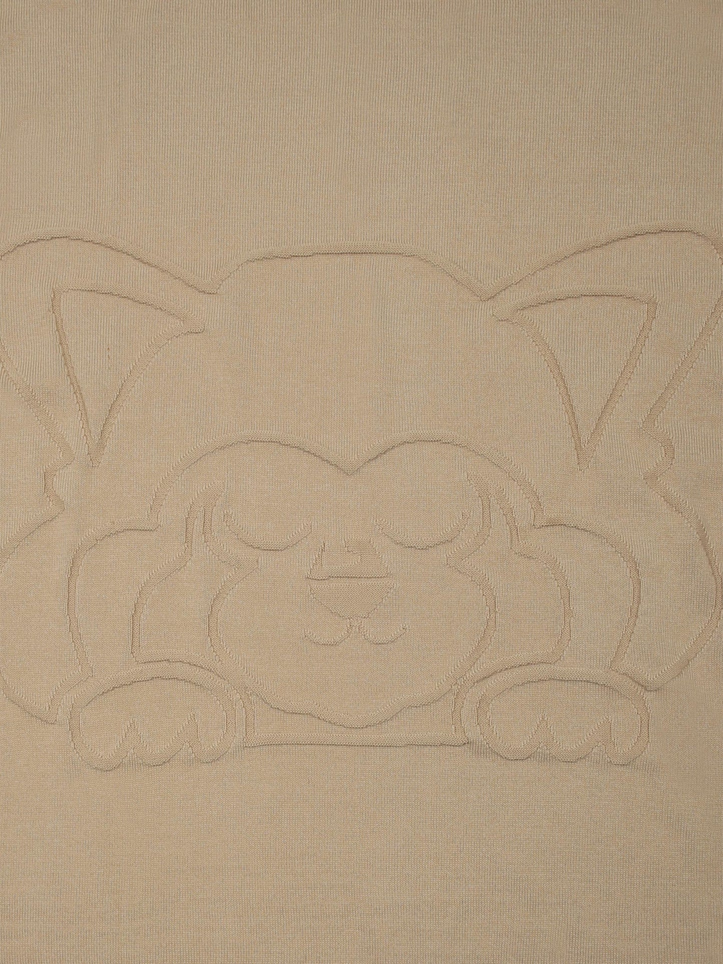 Beige blanket for baby boy with panda