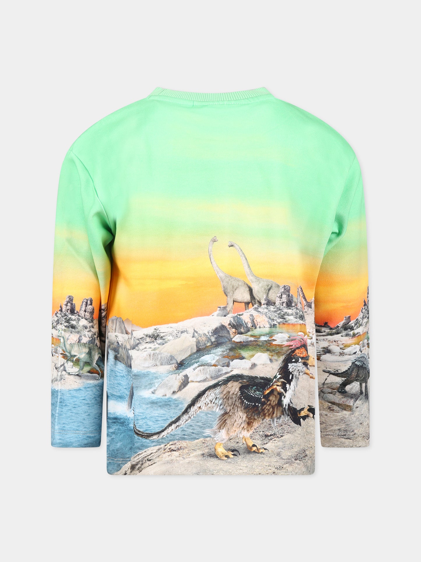 Felpa multicolor per bambino con stampa dinosauri,Molo,1S23J203 7966