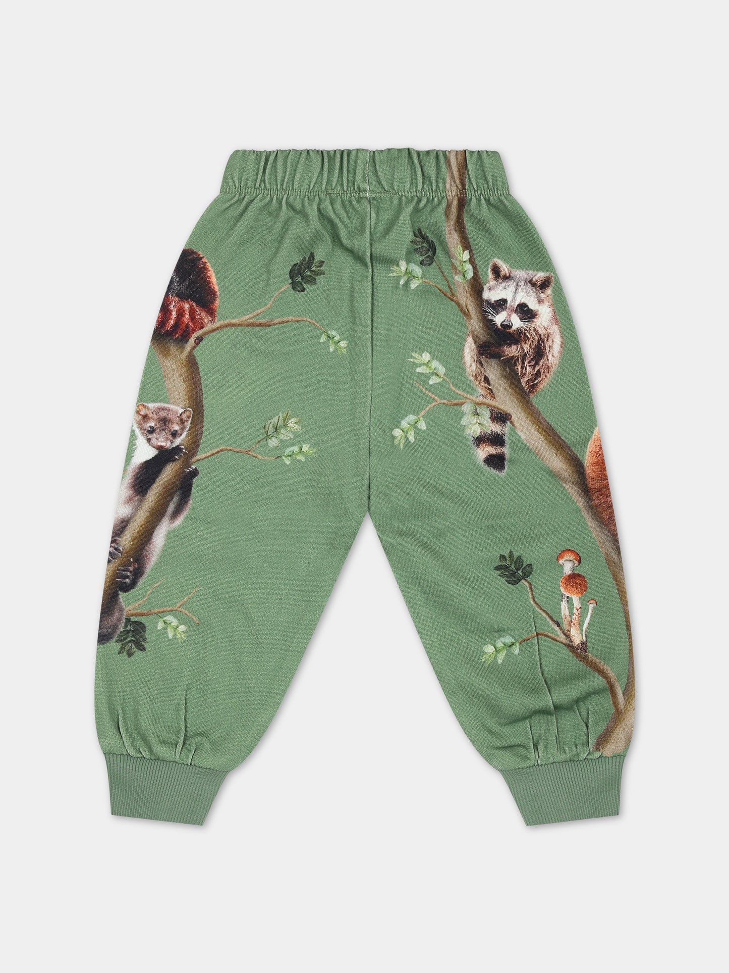 Pantaloni verdi per neonati con animali,Molo,6W23I217 3355