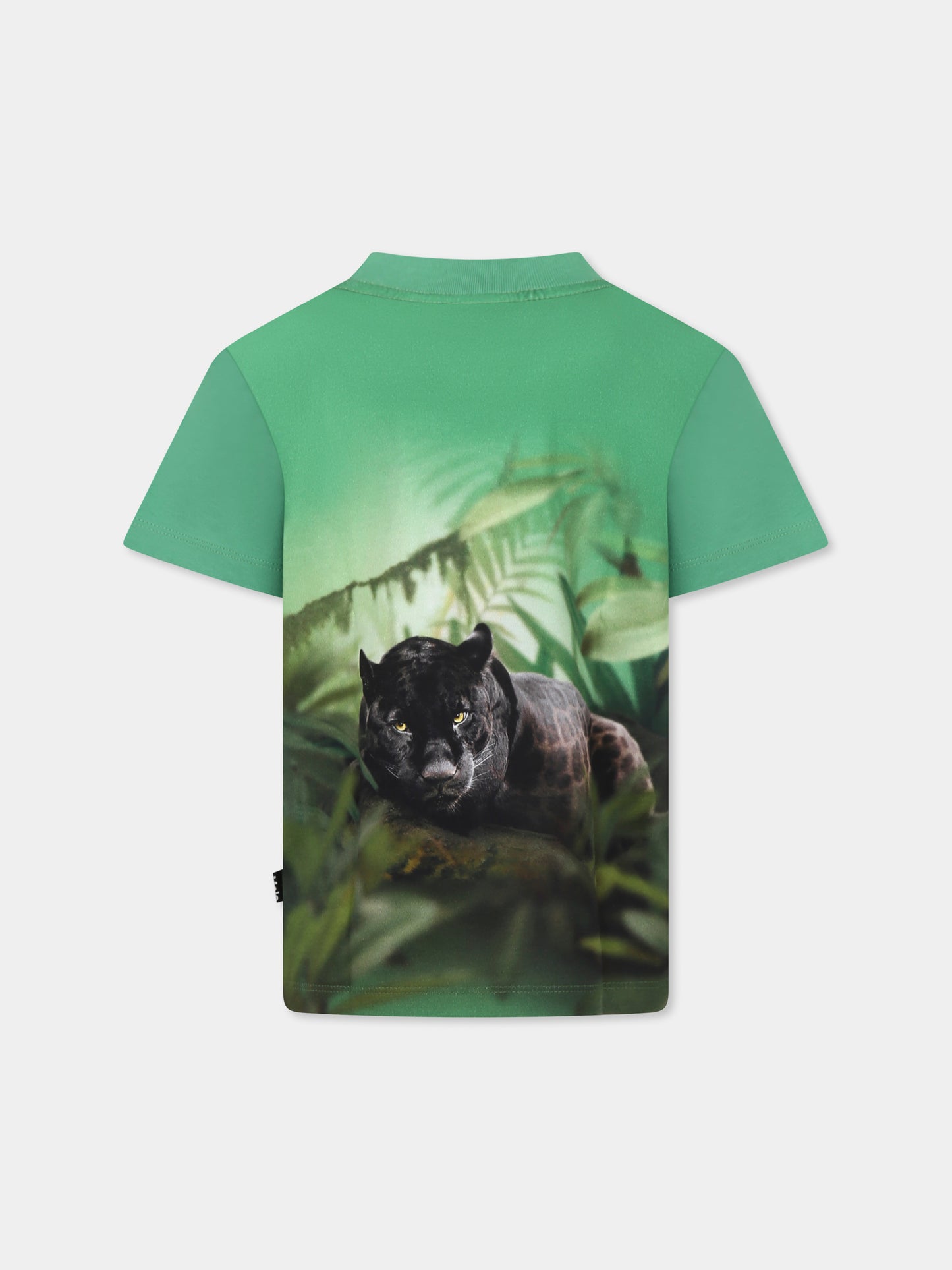 Green t-shirt for boy with dinosaur print