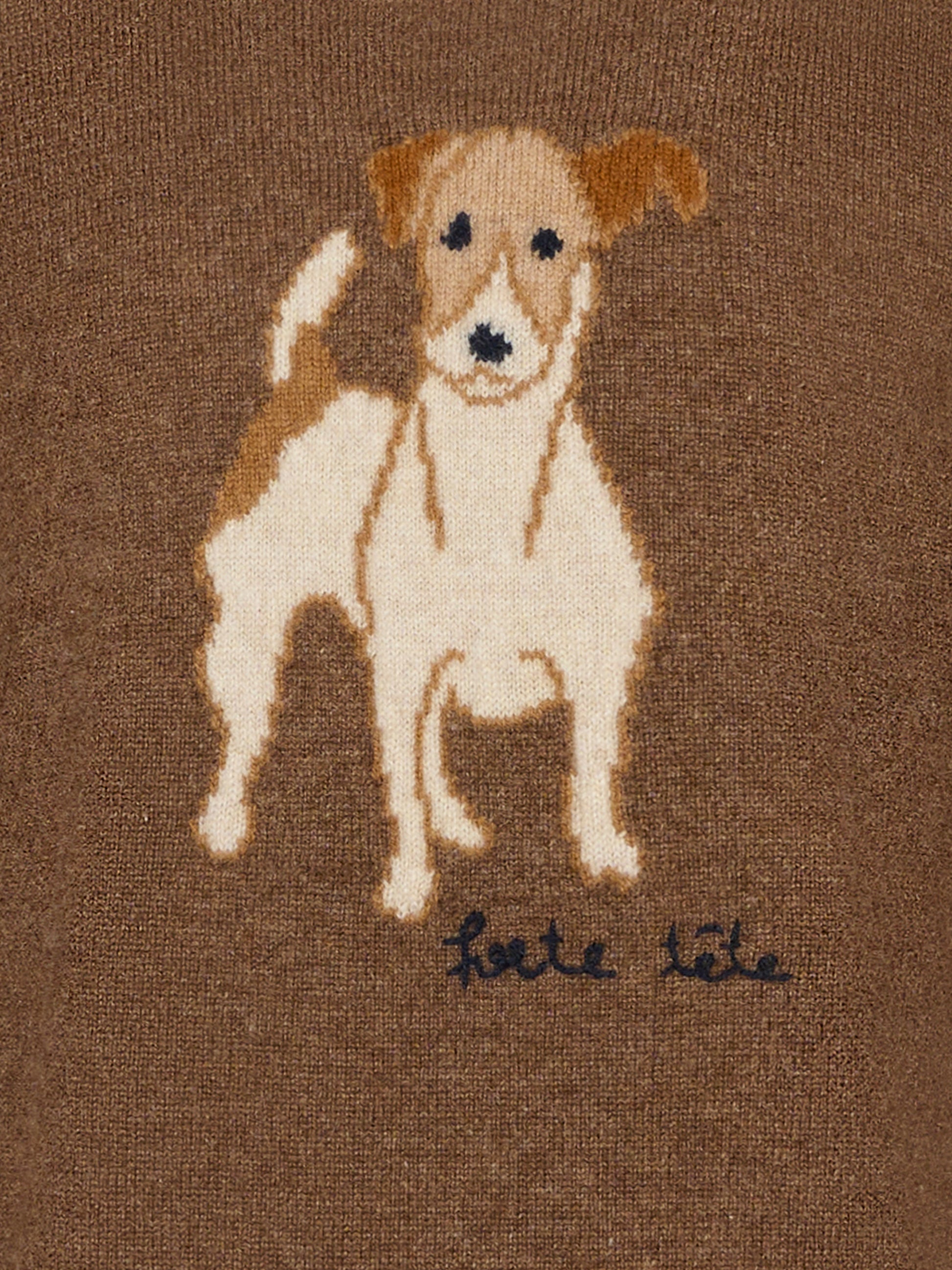 Maglione marrone per bambino con cane e logo,Bonpoint,W05BJUK00010 167