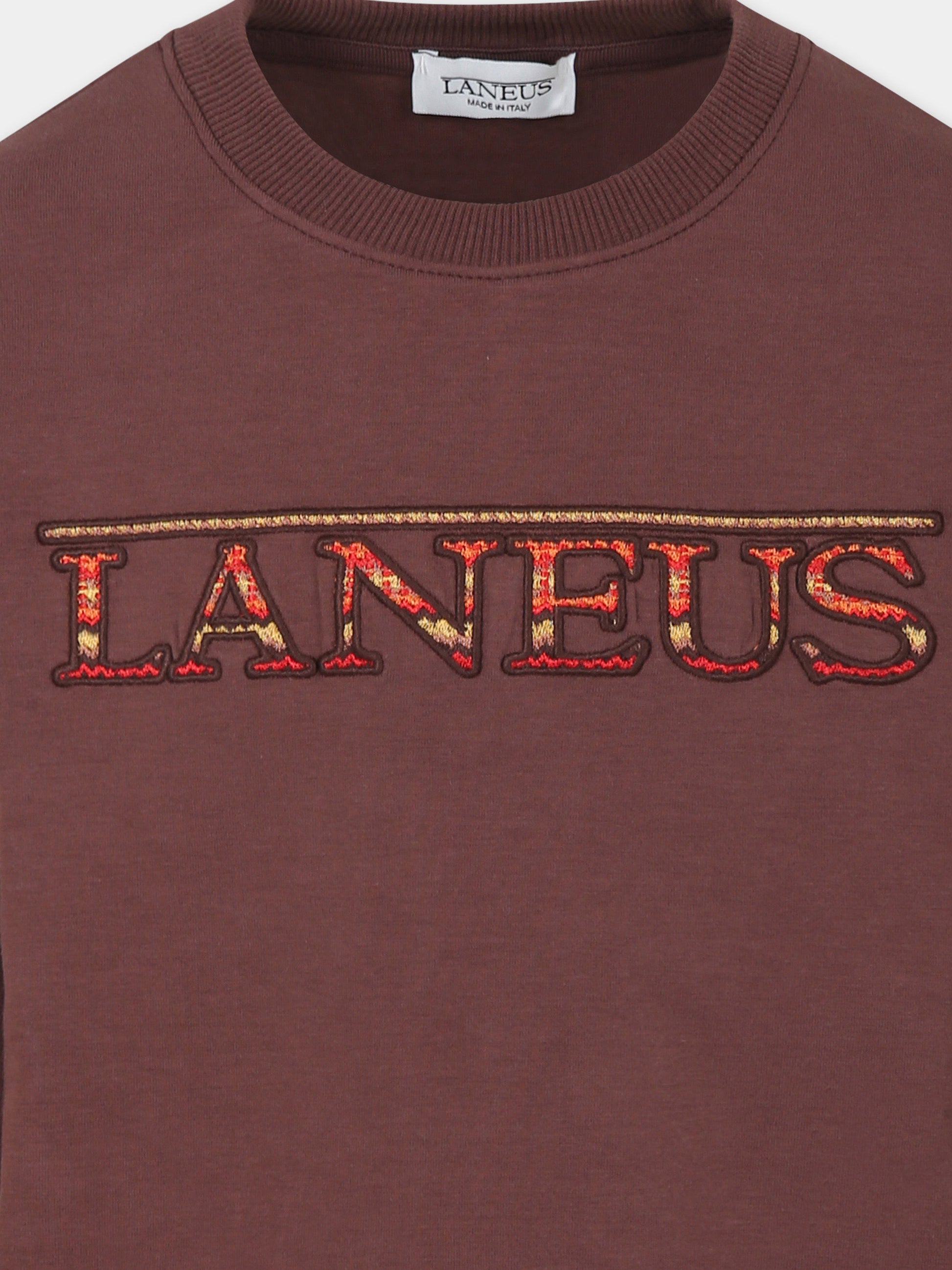 Felpa marrone per bambini con logo ricamato,Laneus Kids,F5LKJUSW072 920