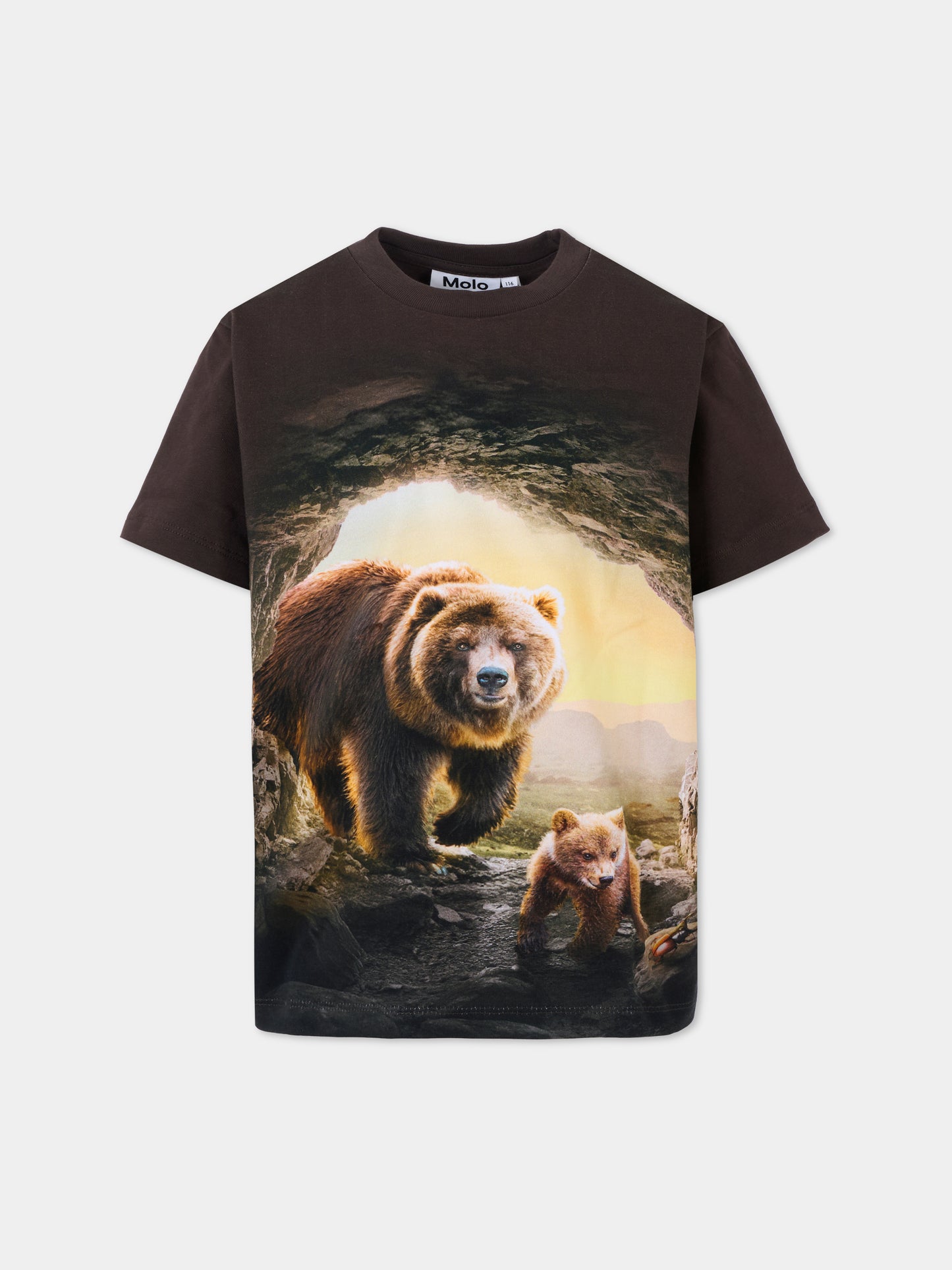 T-shirt Riley marrone per bambino con orsi,Molo,1W25A203 9640