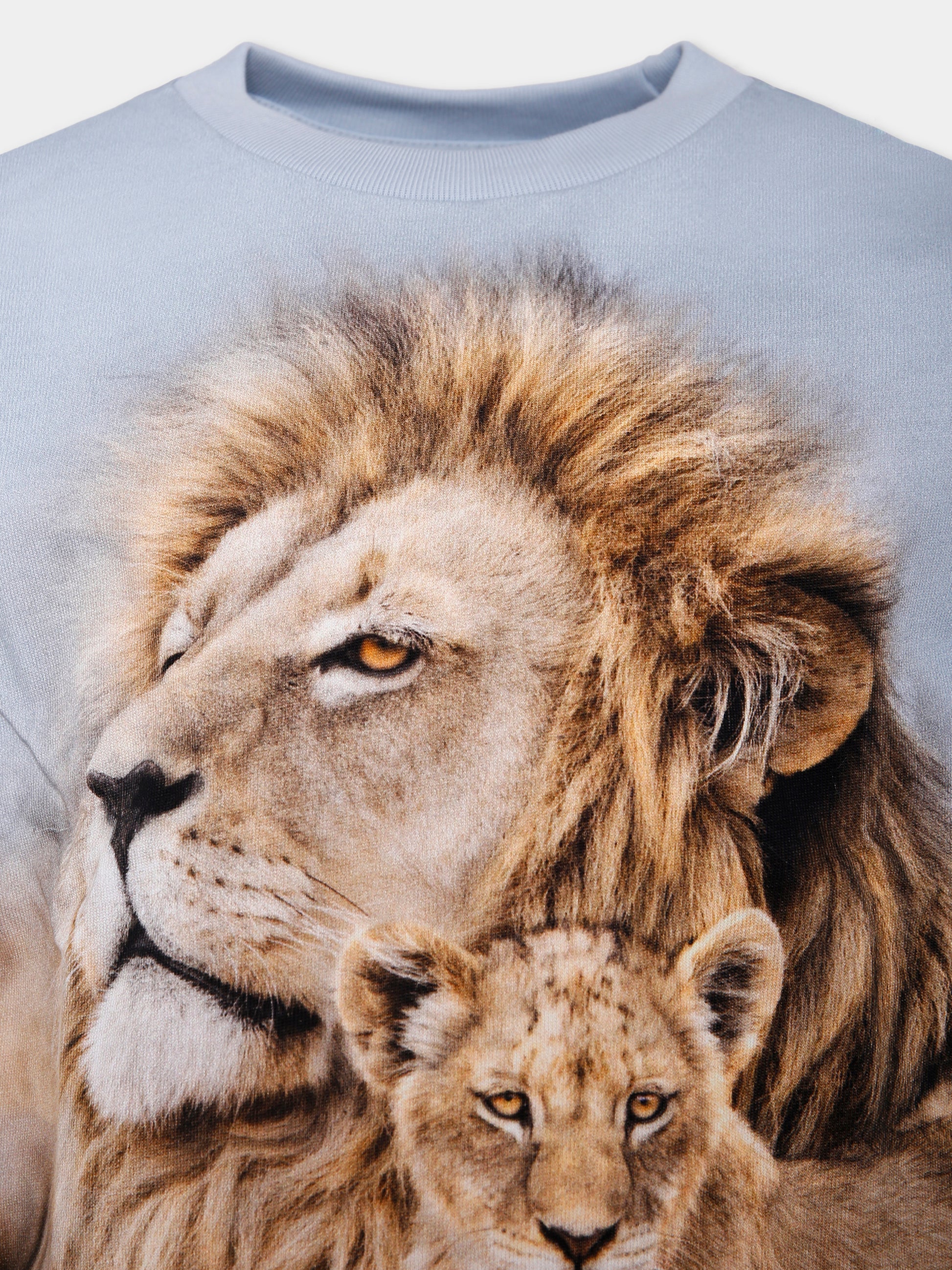 T-shirt Reif celeste per bambino con leoni,Molo,1W25A403 9655