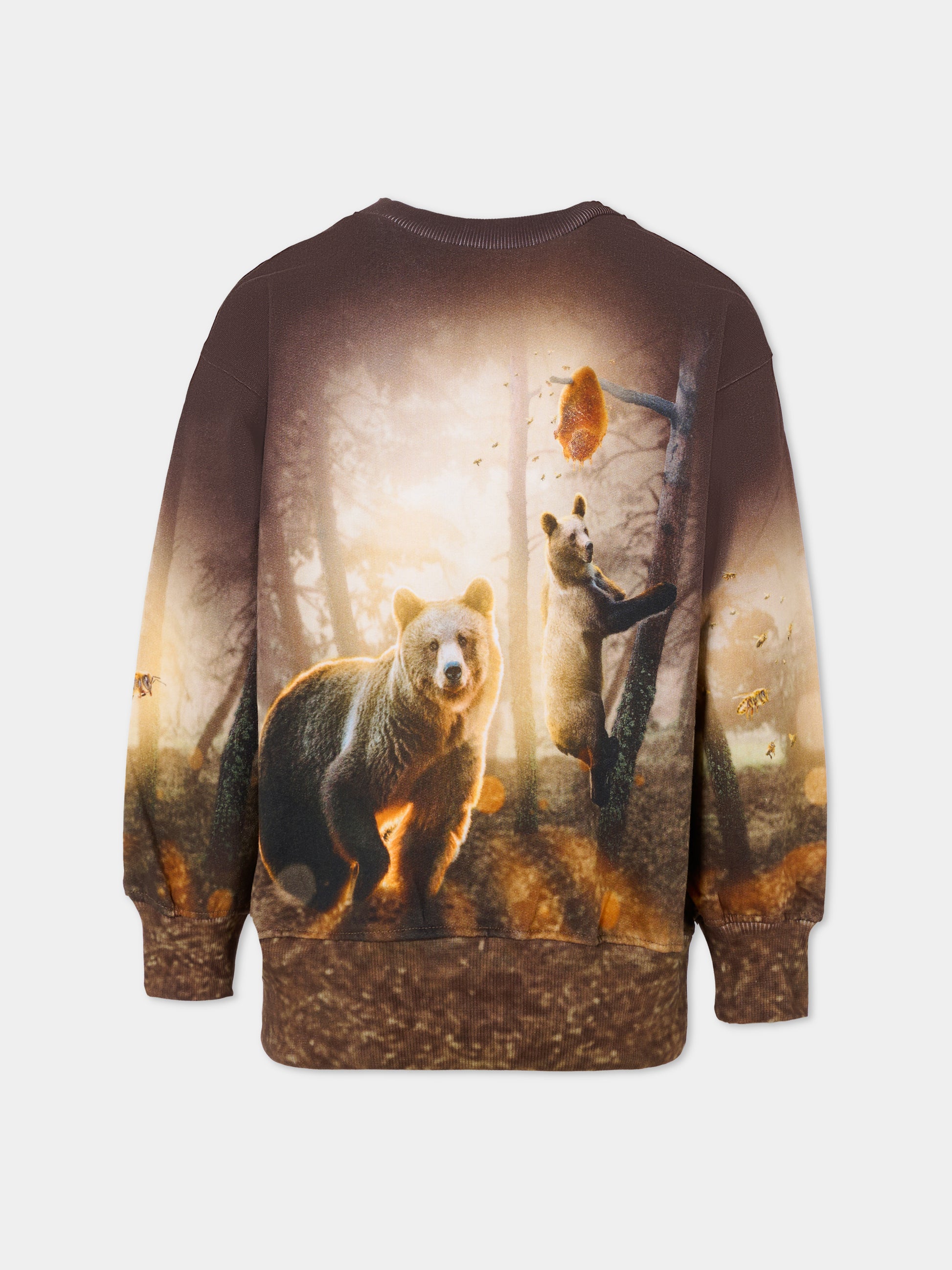 Felpa Mattis marrone per bambino con stampa orso,Molo,1W25J203 9657