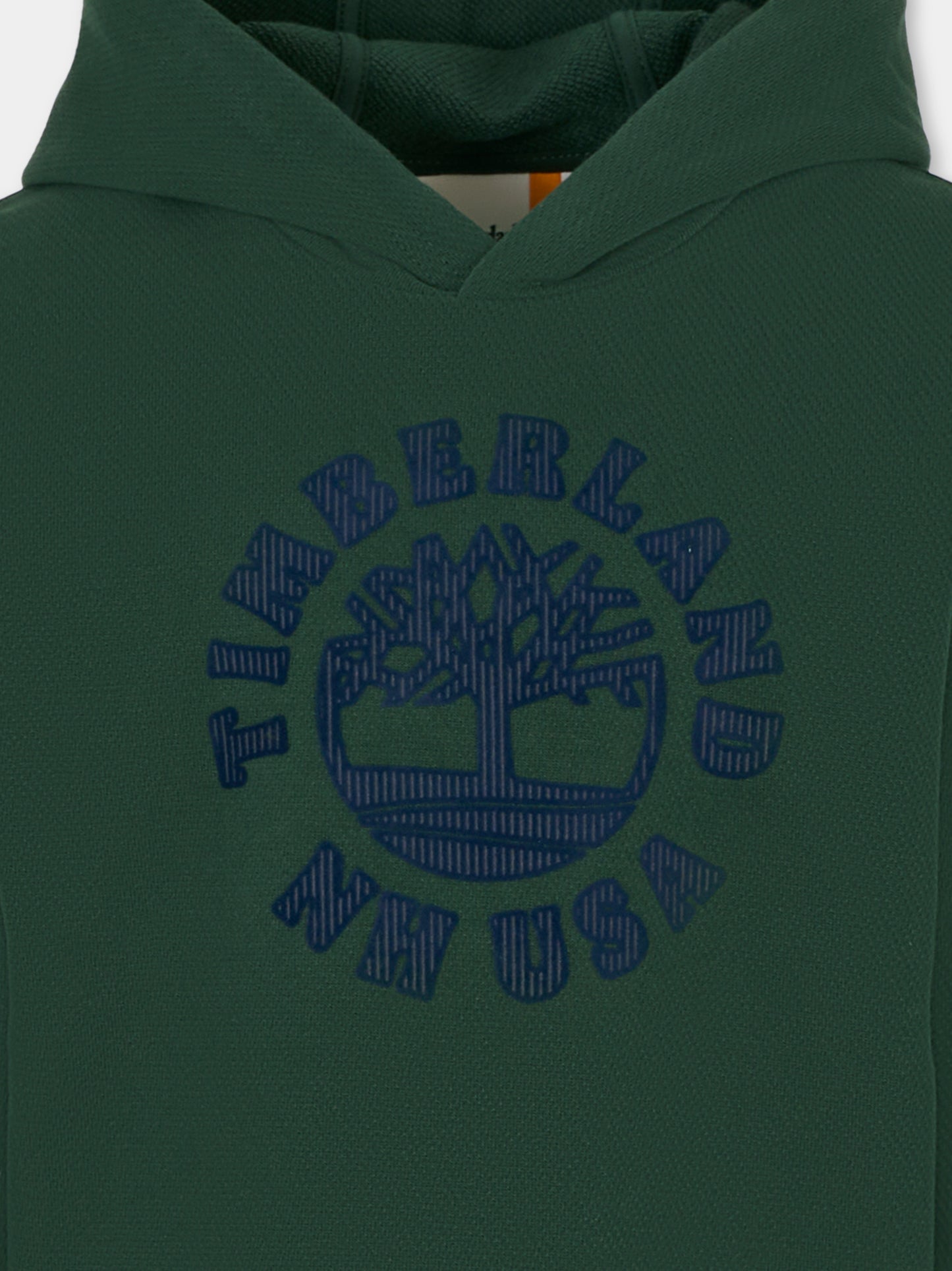 Felpa verde per bambino con logo,Timberland,T60548 672