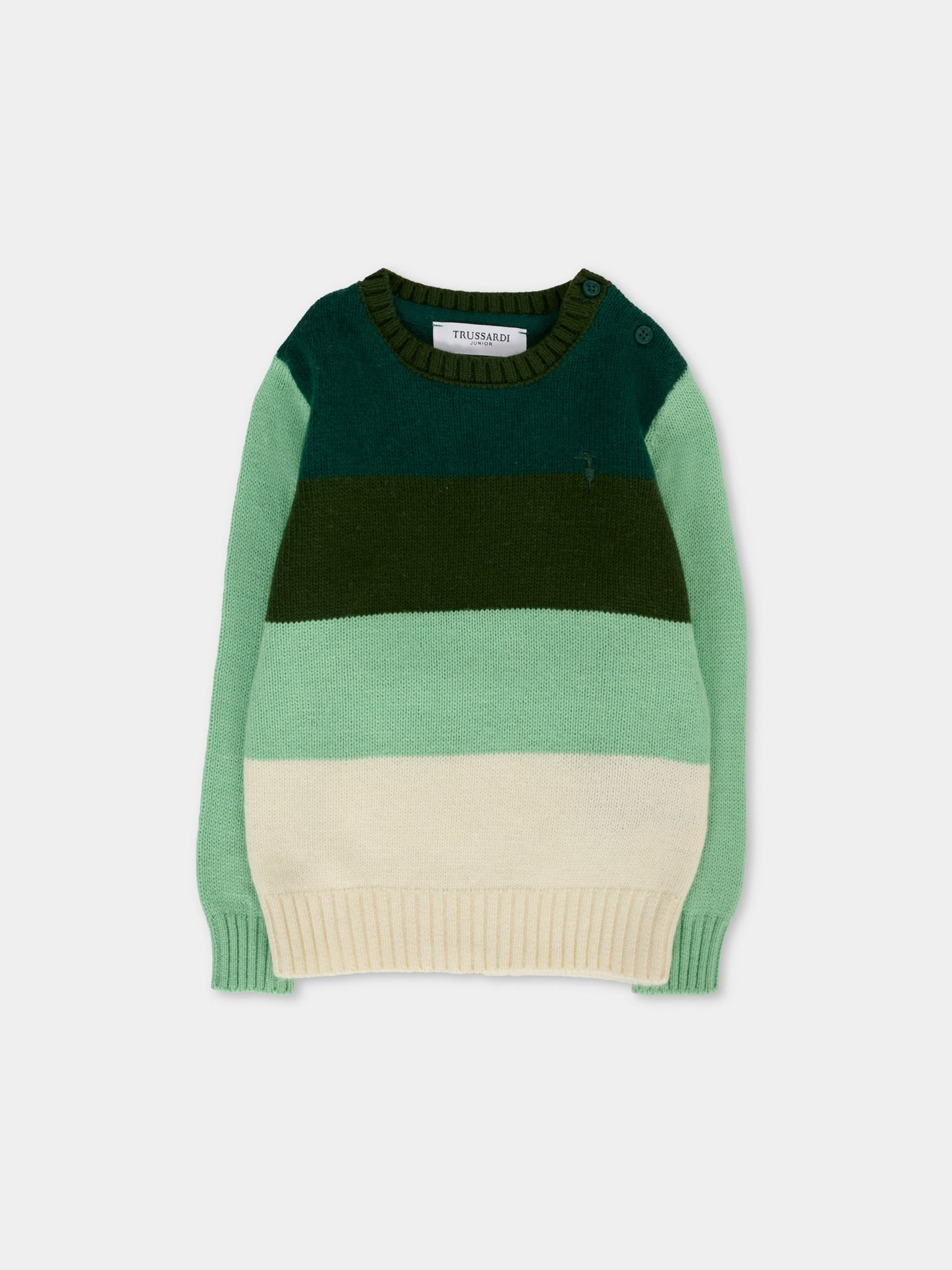 Maglione multicolor per neonato con ricamo,Trussardi Junior,TIA25136MA PINENEEDLE