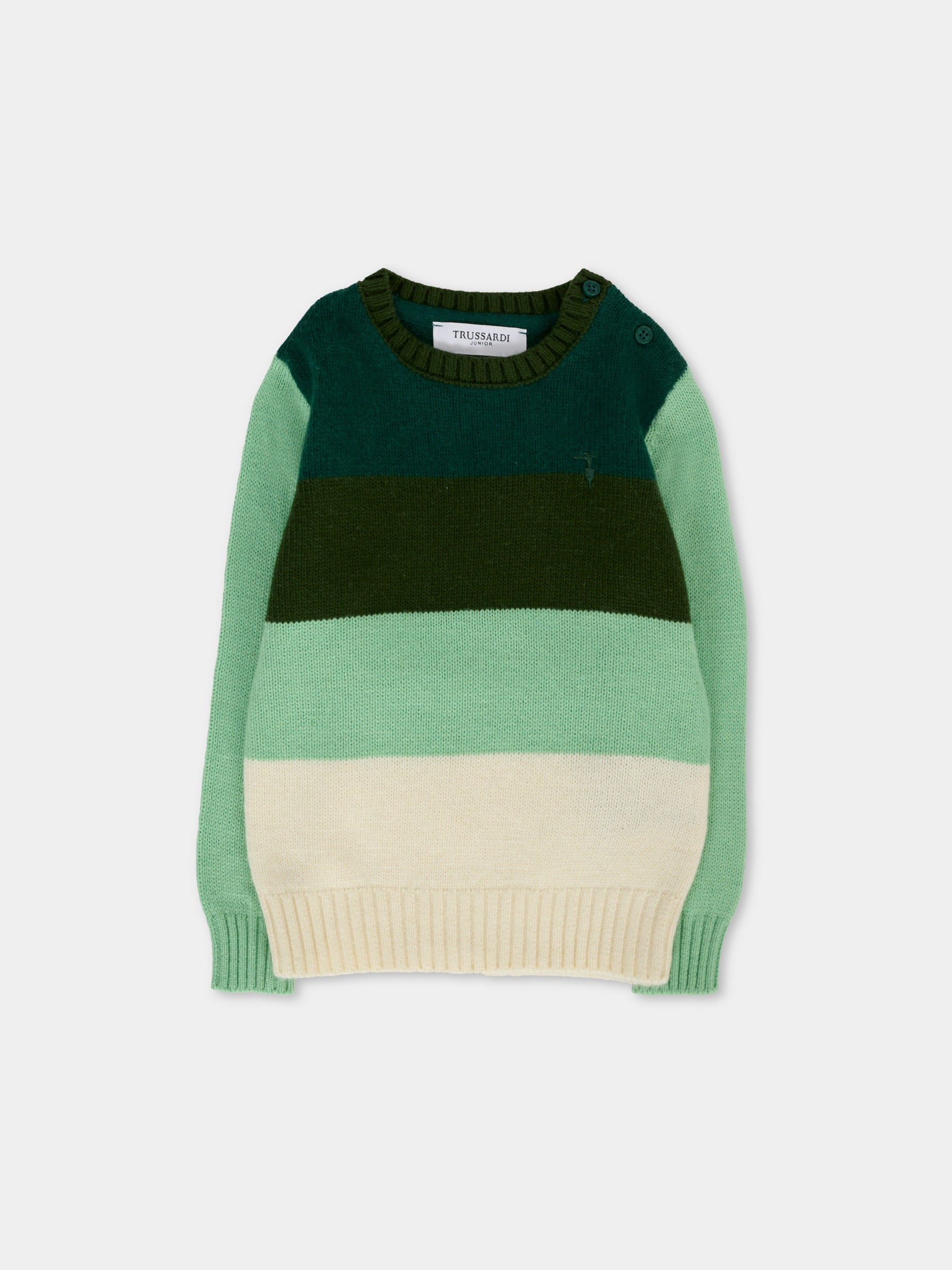 Maglione multicolor per neonato con ricamo,Trussardi Junior,TIA25136MA PINENEEDLE