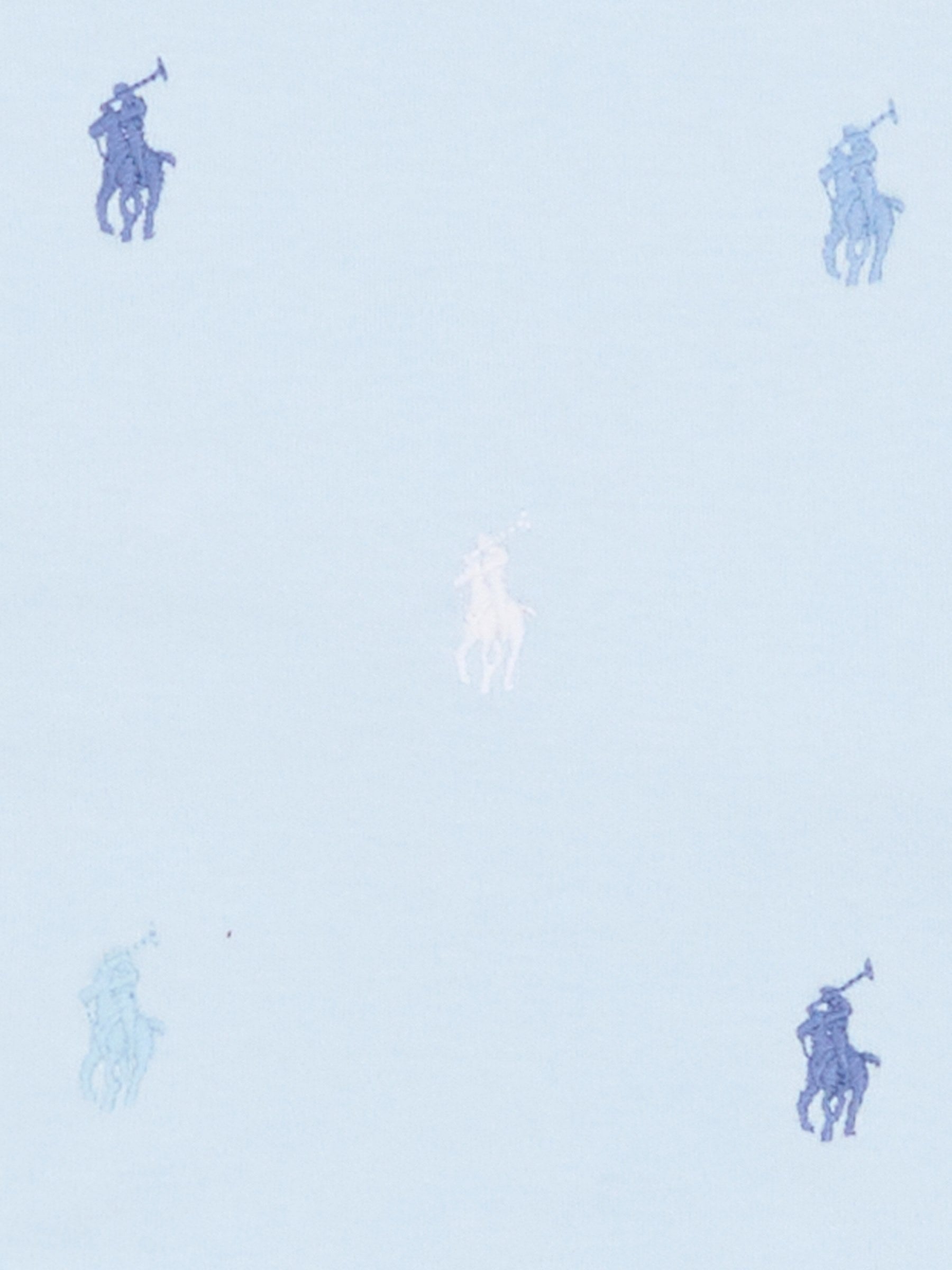 Bavaglino celeste per neonato con iconici cavallini,Ralph Lauren Kids,876689002