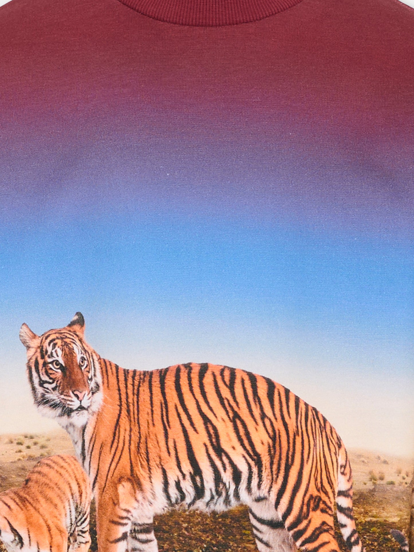 Felpa Miksi multicolor per bambino con tigre,Molo,1S26J205 9861