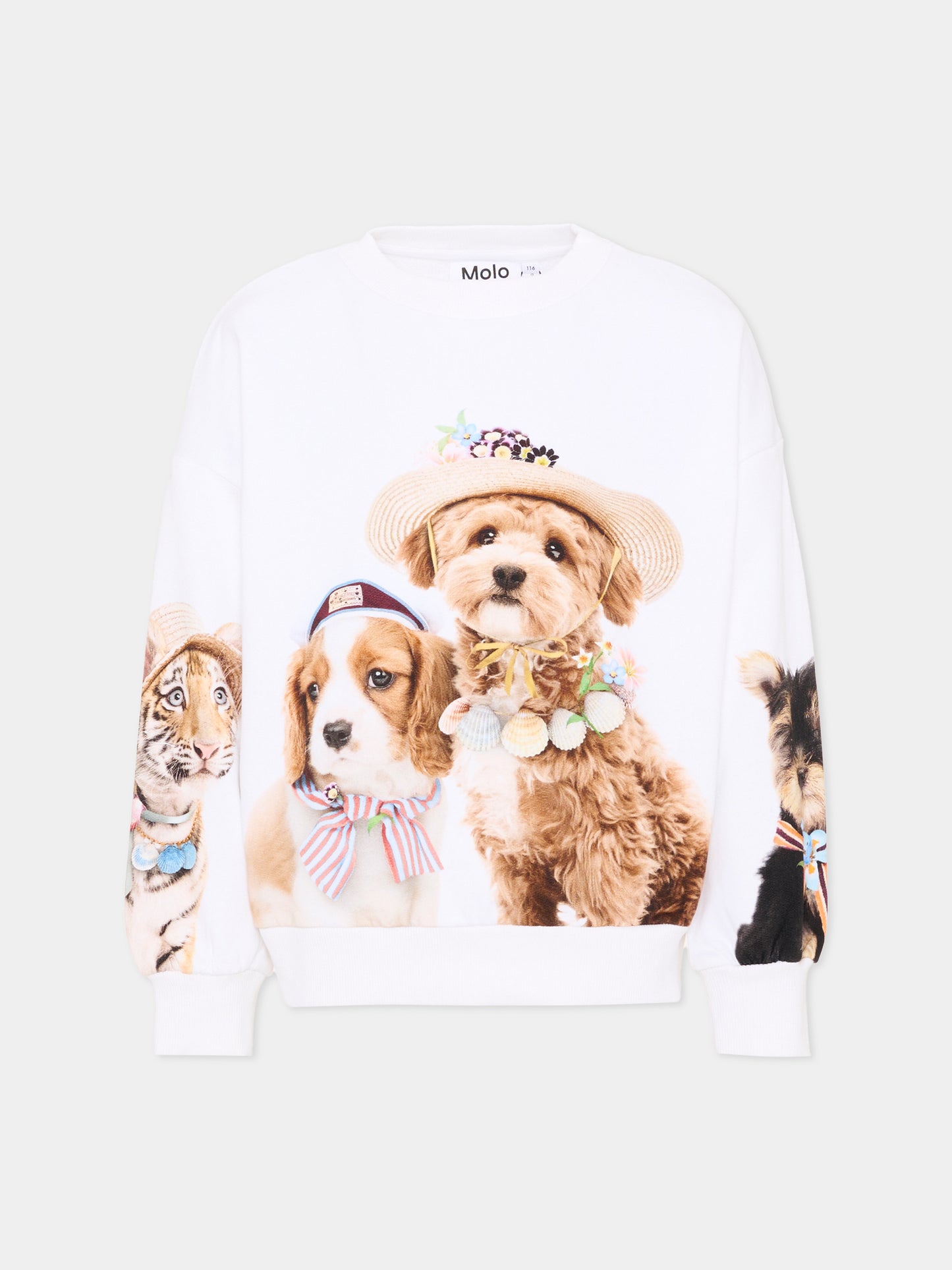 Felpa bianca Maxi per bambina con stampa animali,Molo,2S26J204 5698