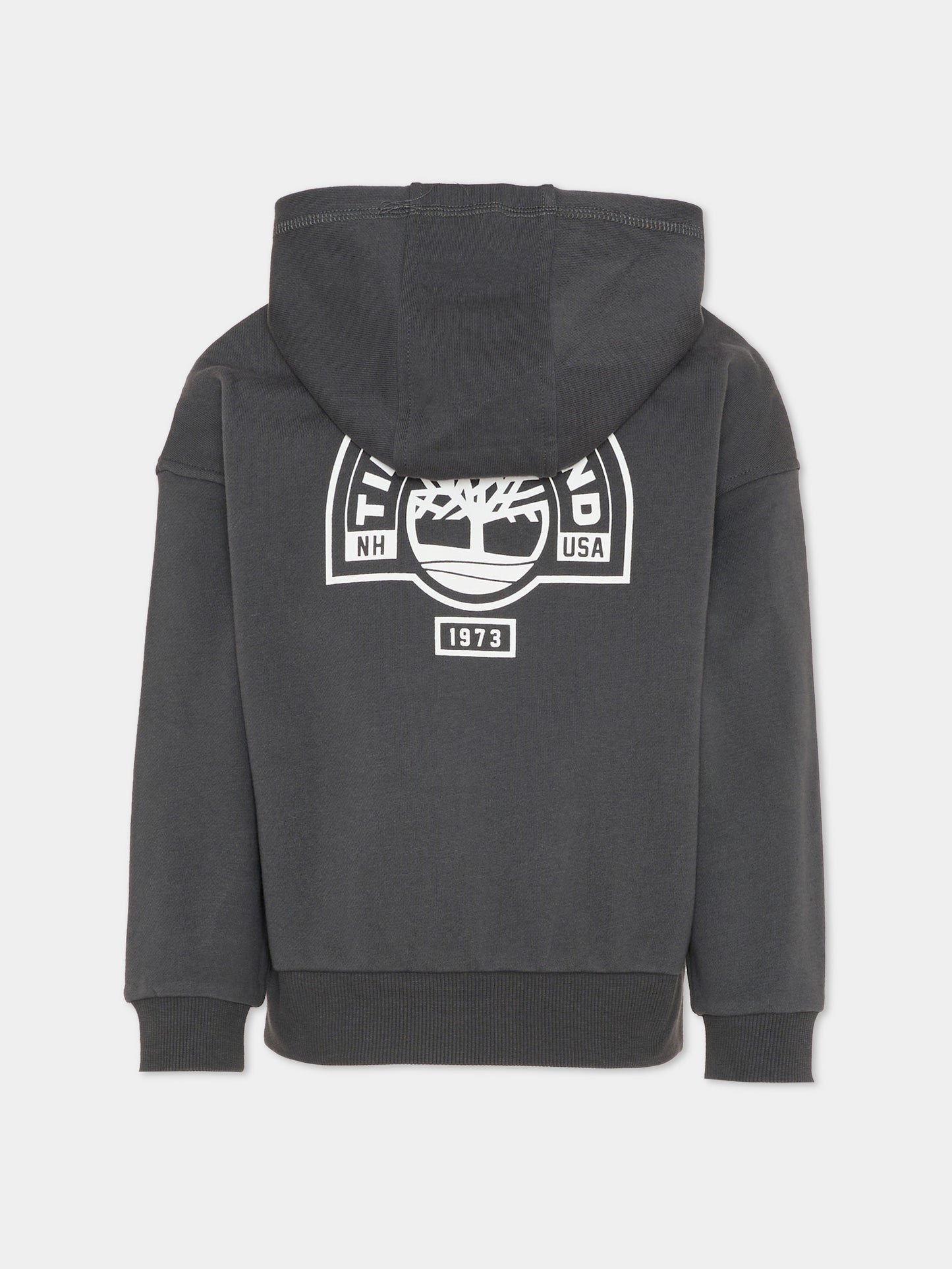 Felpa grigia per bambino con logo,Timberland,T60828 066