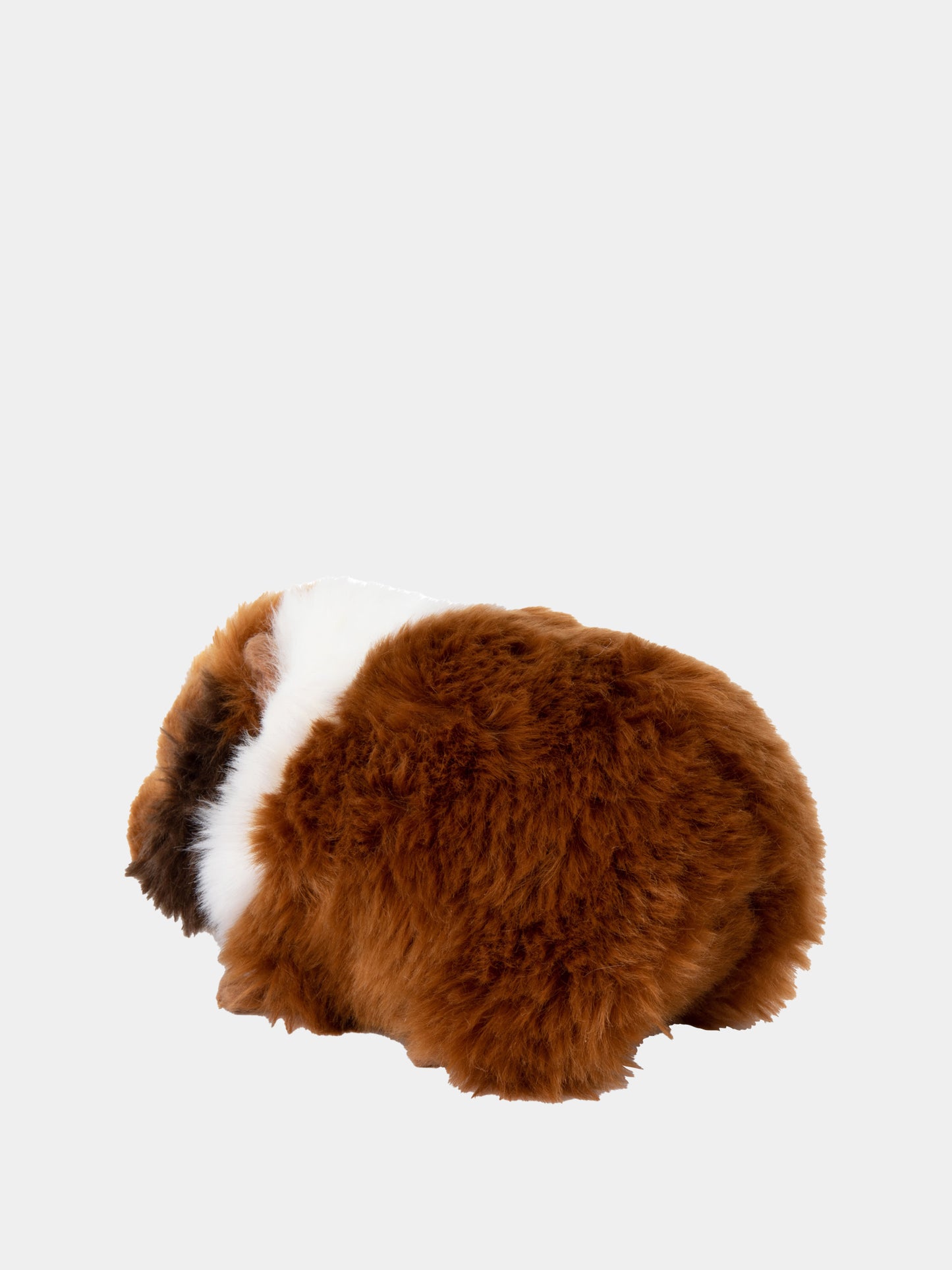 WWF Porcellino d'India marrone per bambini,Bon Ton Toys,15201008 WWF GUINEA PIG