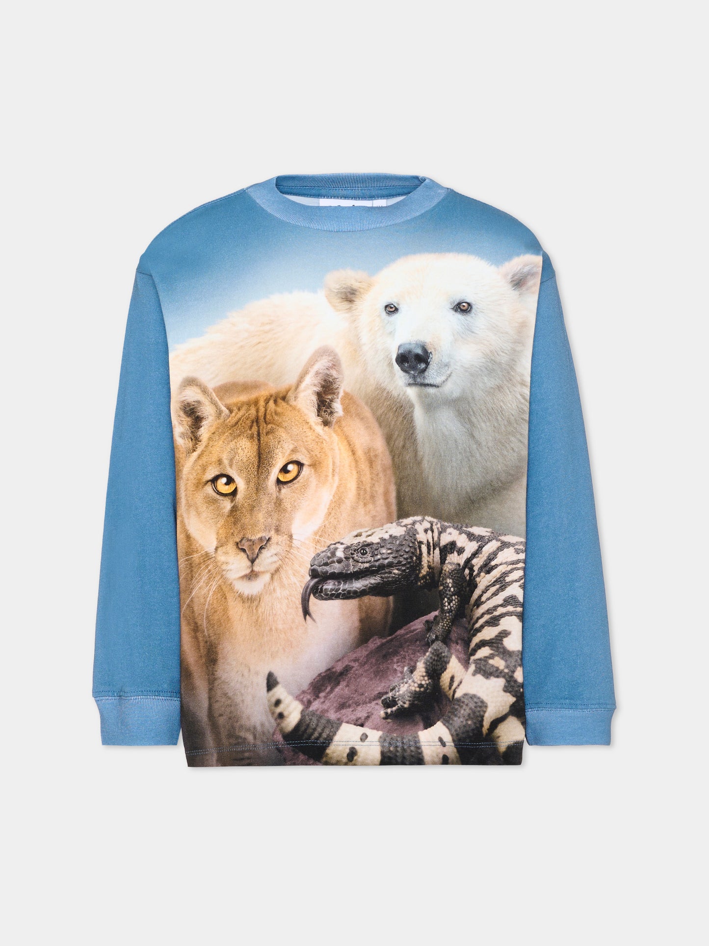 T-shirt blu Rube per bambino con animali,Molo,1W26A403 9932