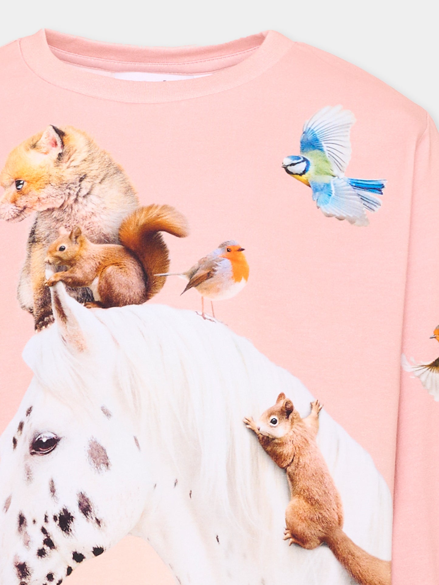 T-shirt a manica lunga rosa Raffy per bambina con stampa animali,Molo,2W26A411 5751
