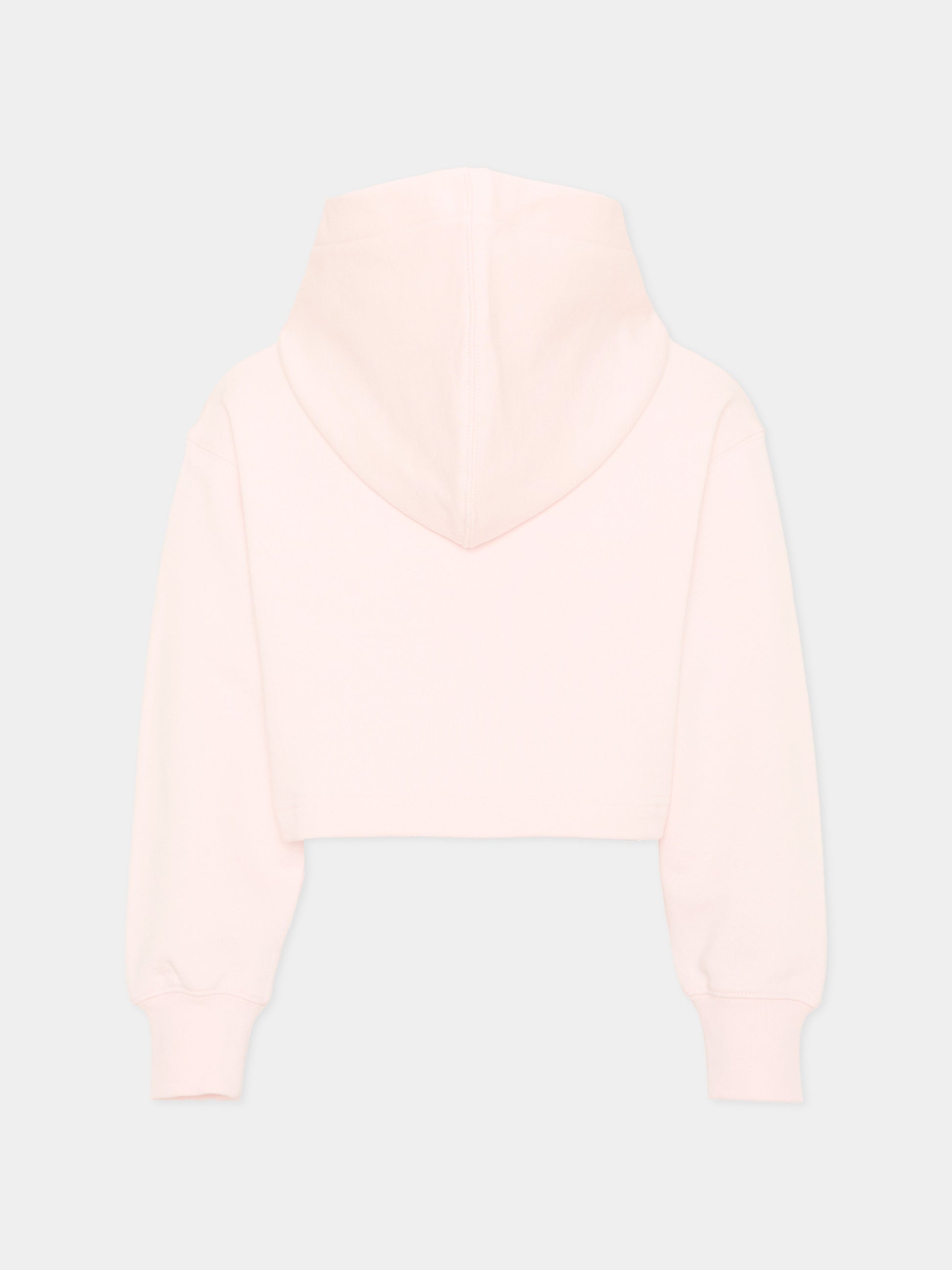 Felpa con cappuccio rosa con logo,Palm Angels,PGBB006S26FLE001 042