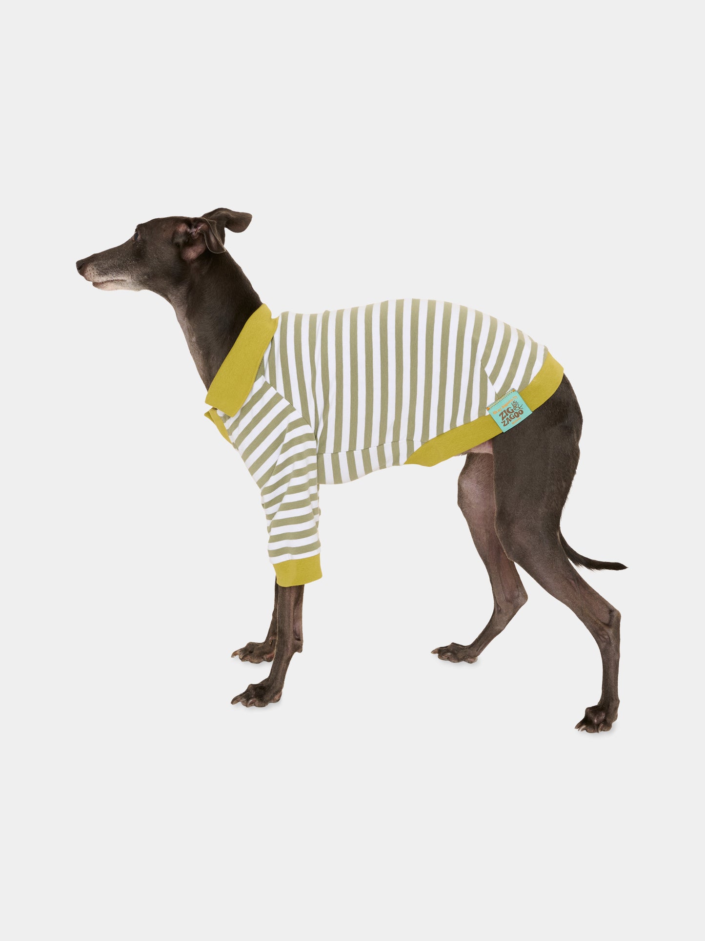 Tutina Ettore verde per cani