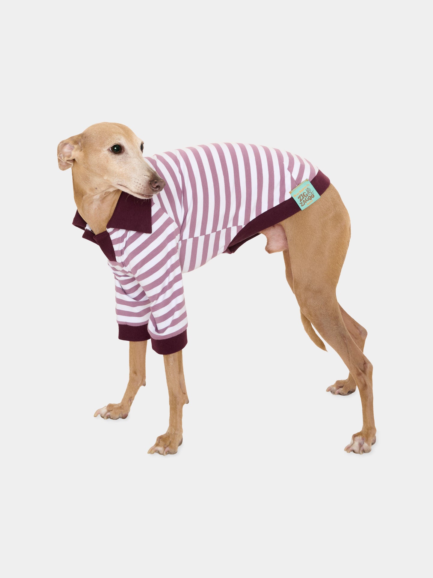 Tutina Ettore viola per cani