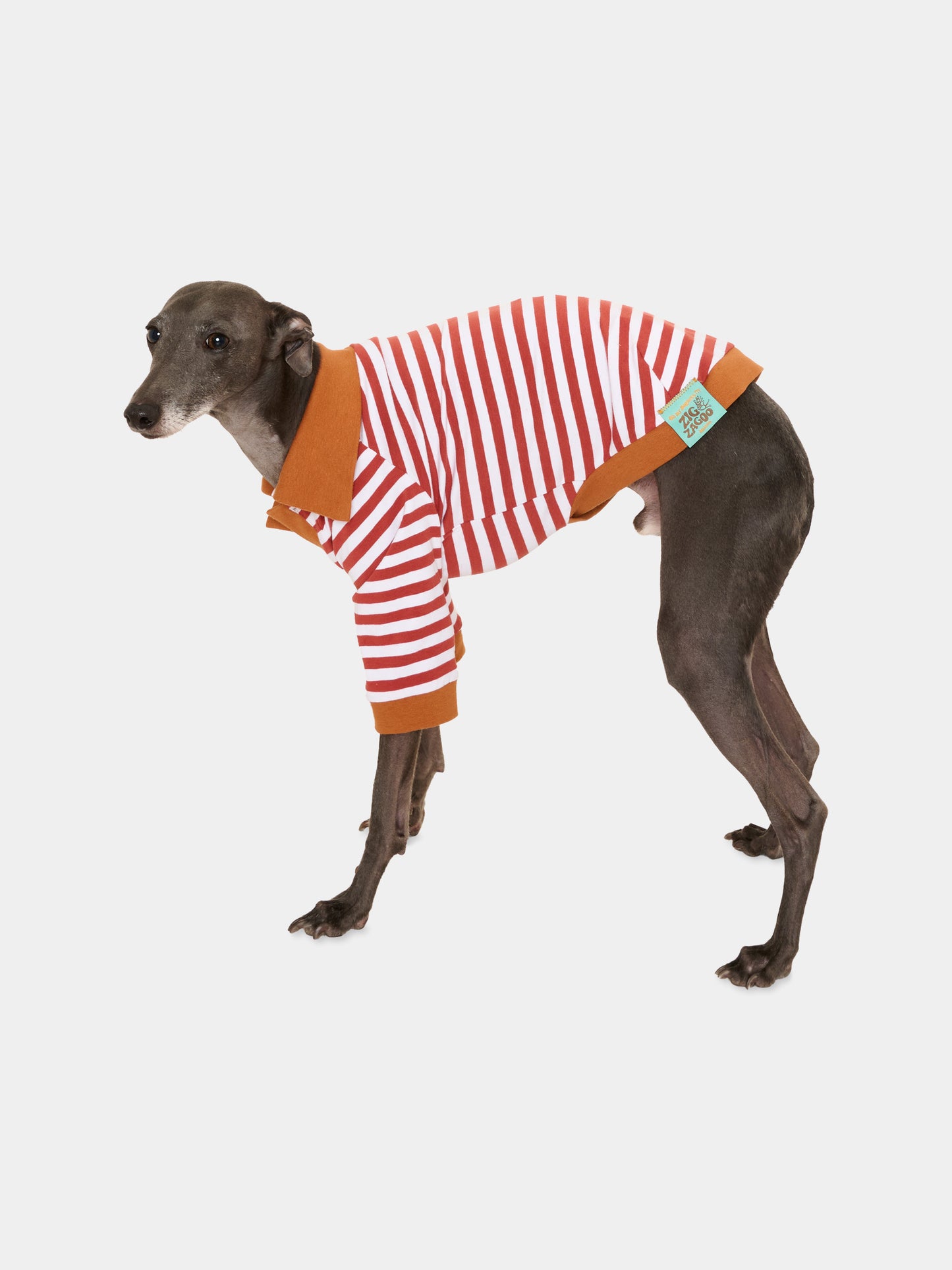 Tutina Ettore marrone per cani