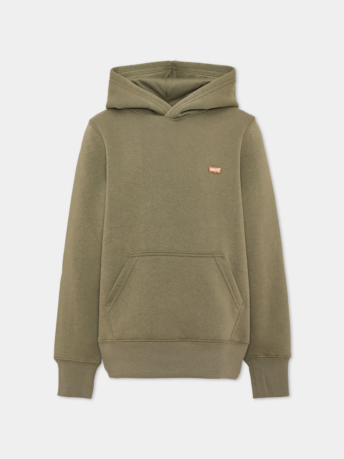 Felpa con cappuccio verde per bambino,Levi's Kids,9EL452 EHF