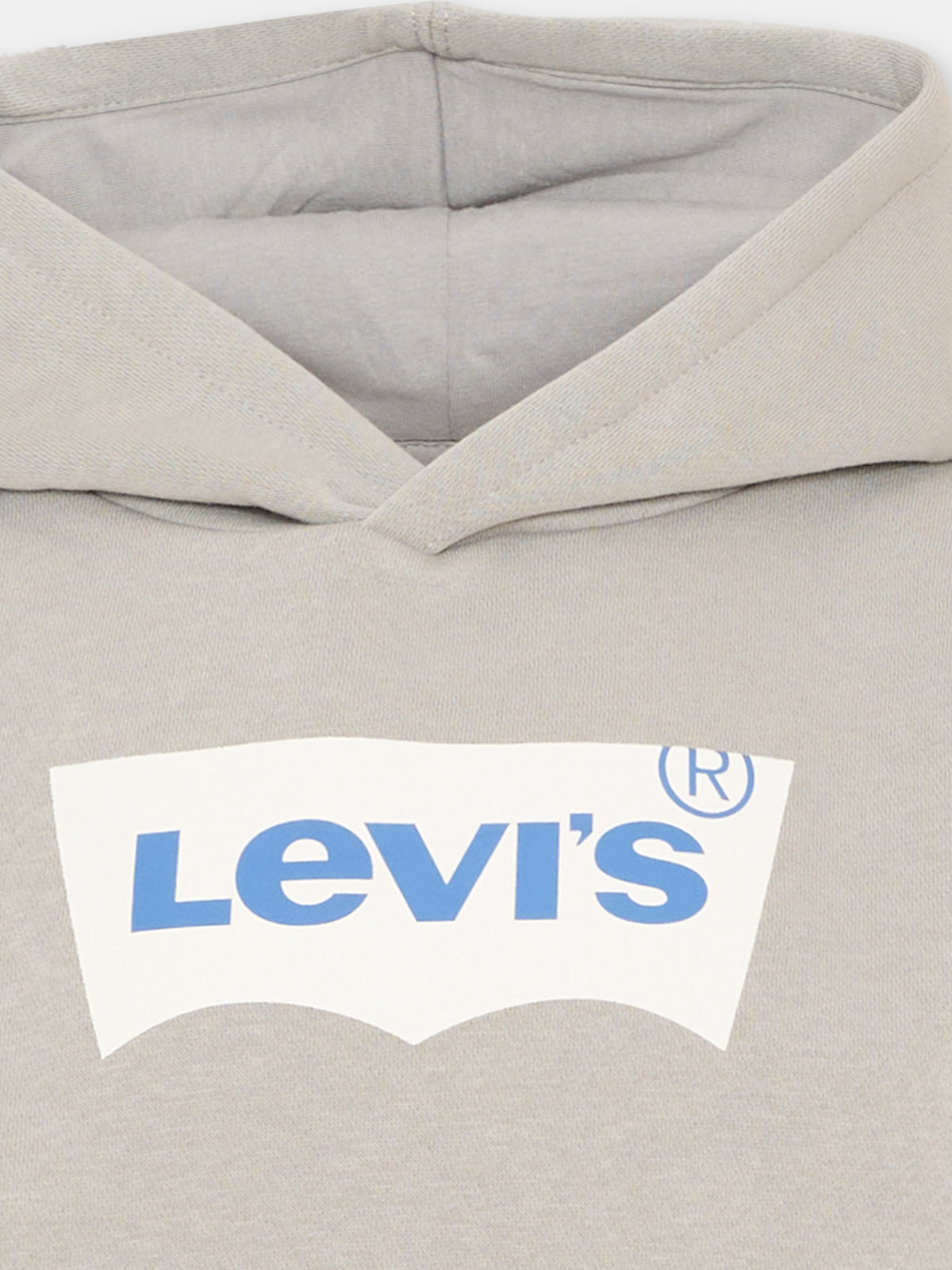 Felpa con cappuccio grigia per bambino,Levi's Kids,8E8778 GKG