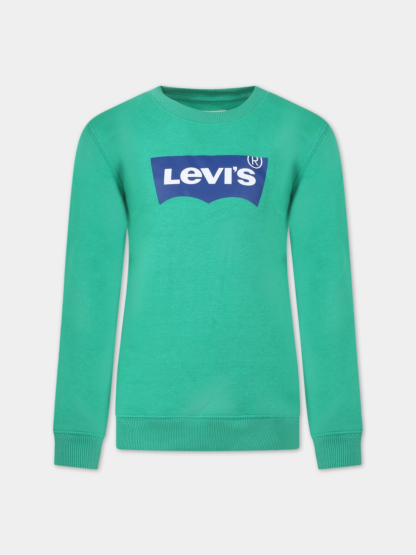 Felpa verde per bambini con logo,Levi's Kids,23WMLK9E9079 E1Q