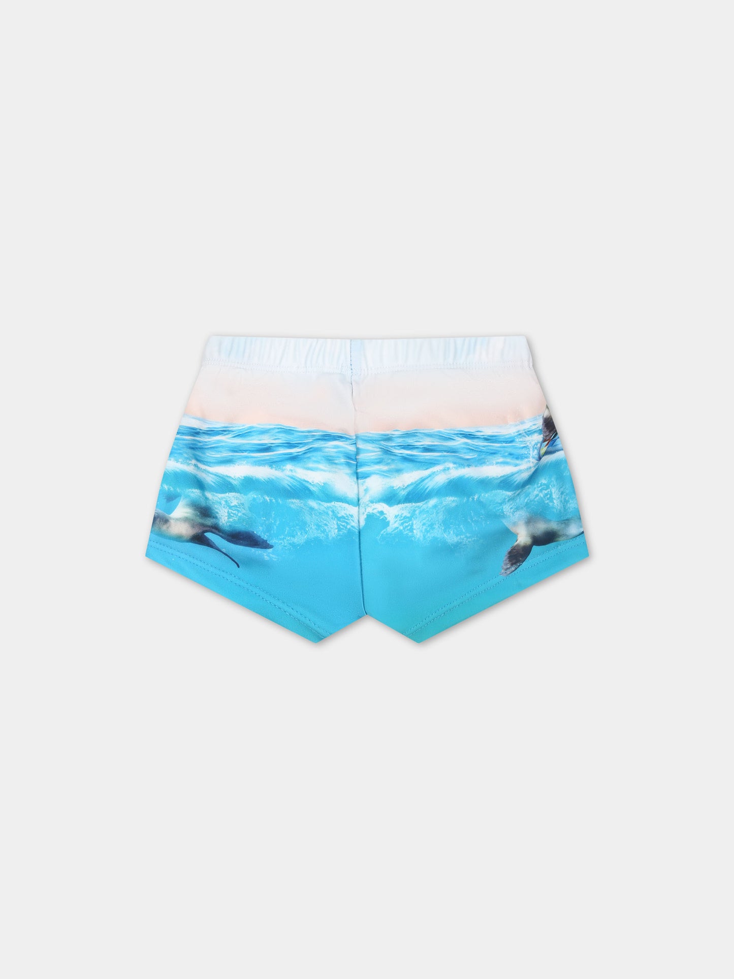 Boxer mare azzurro per neonato con stampa foche,Molo,8S24P612 3427