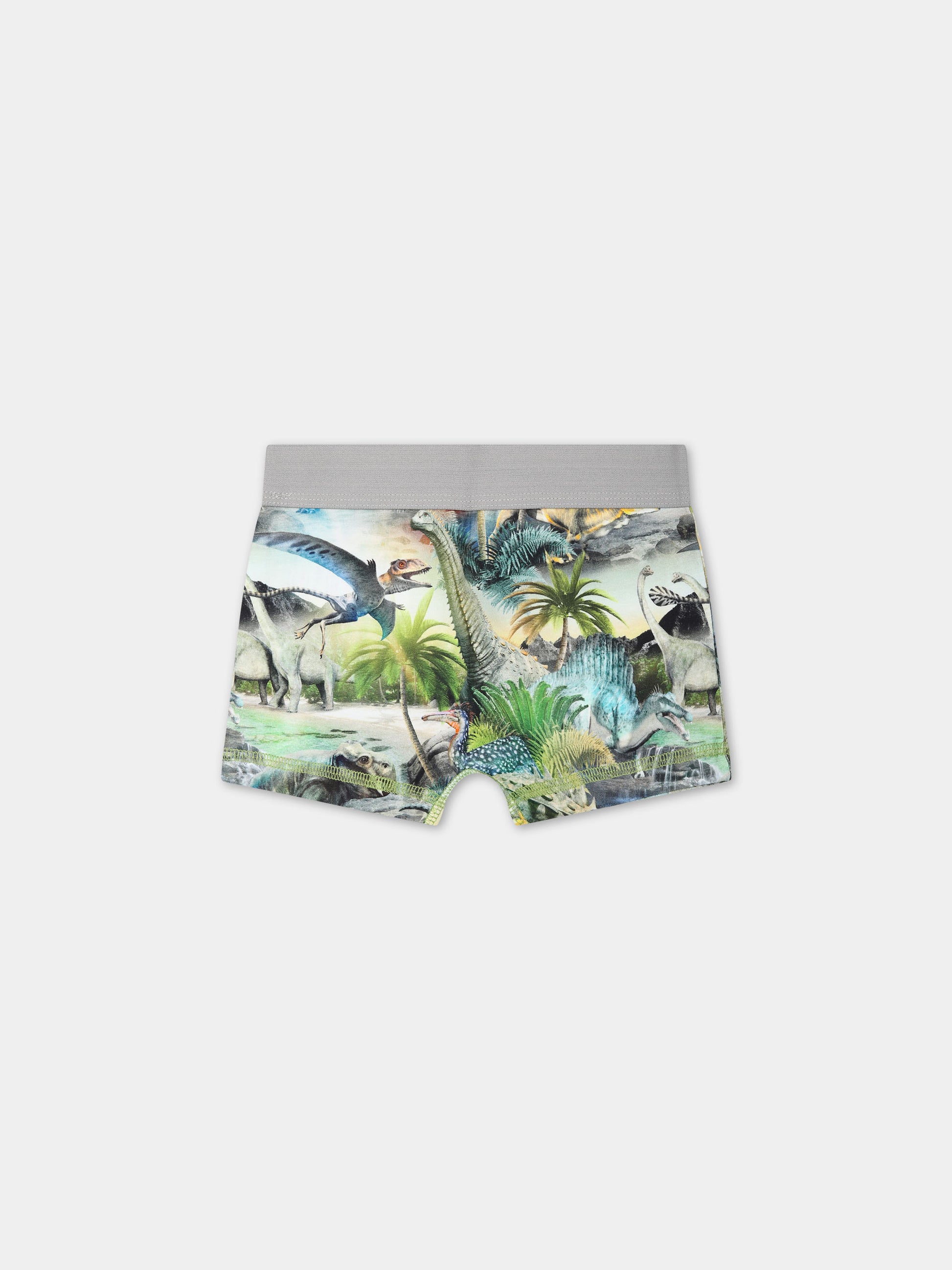 Set multicolor per bambino con stampa dinosauri,Molo,1S24Q201 9103