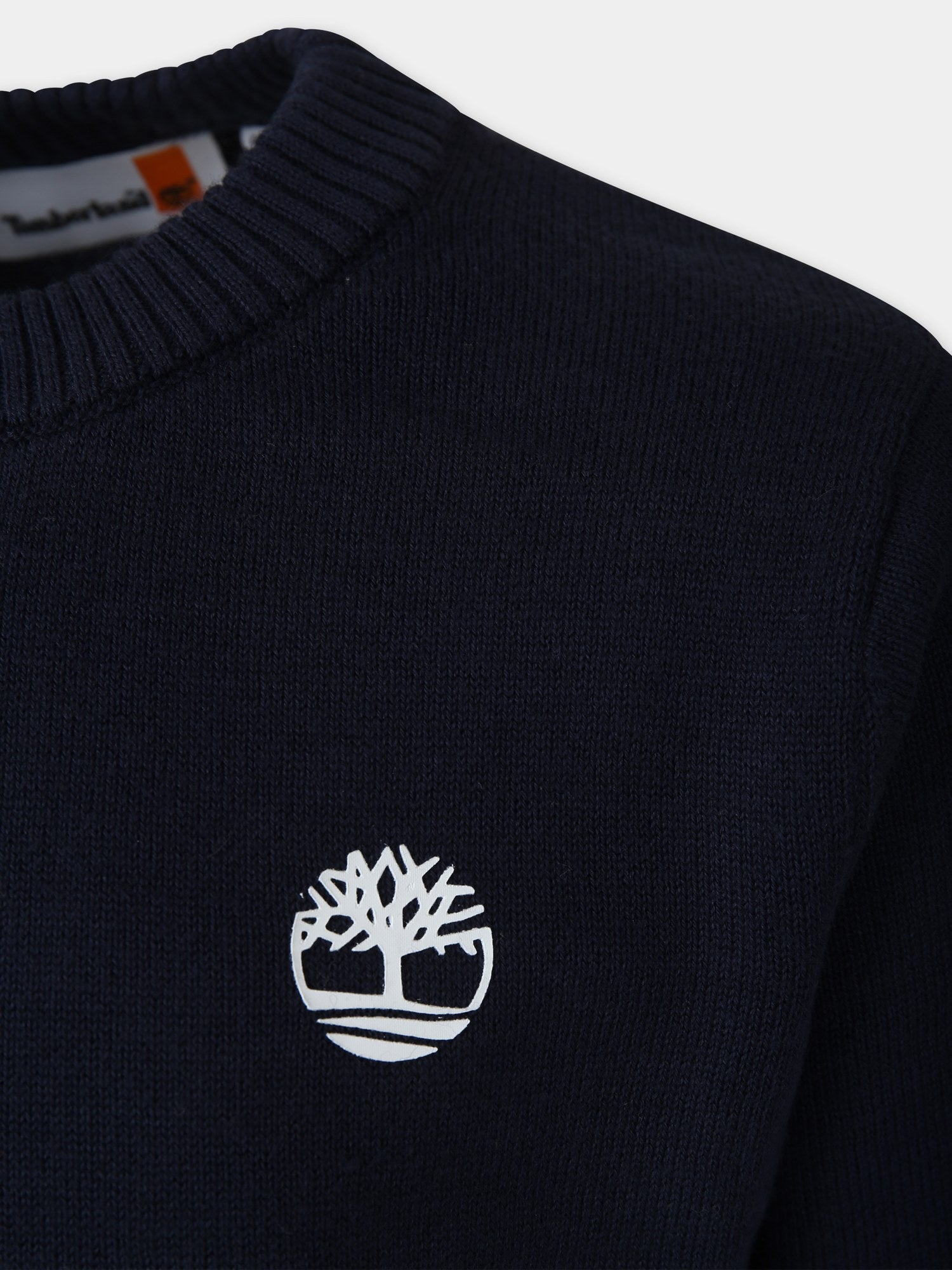 Maglione blu per bambino,Timberland,T25U49 857