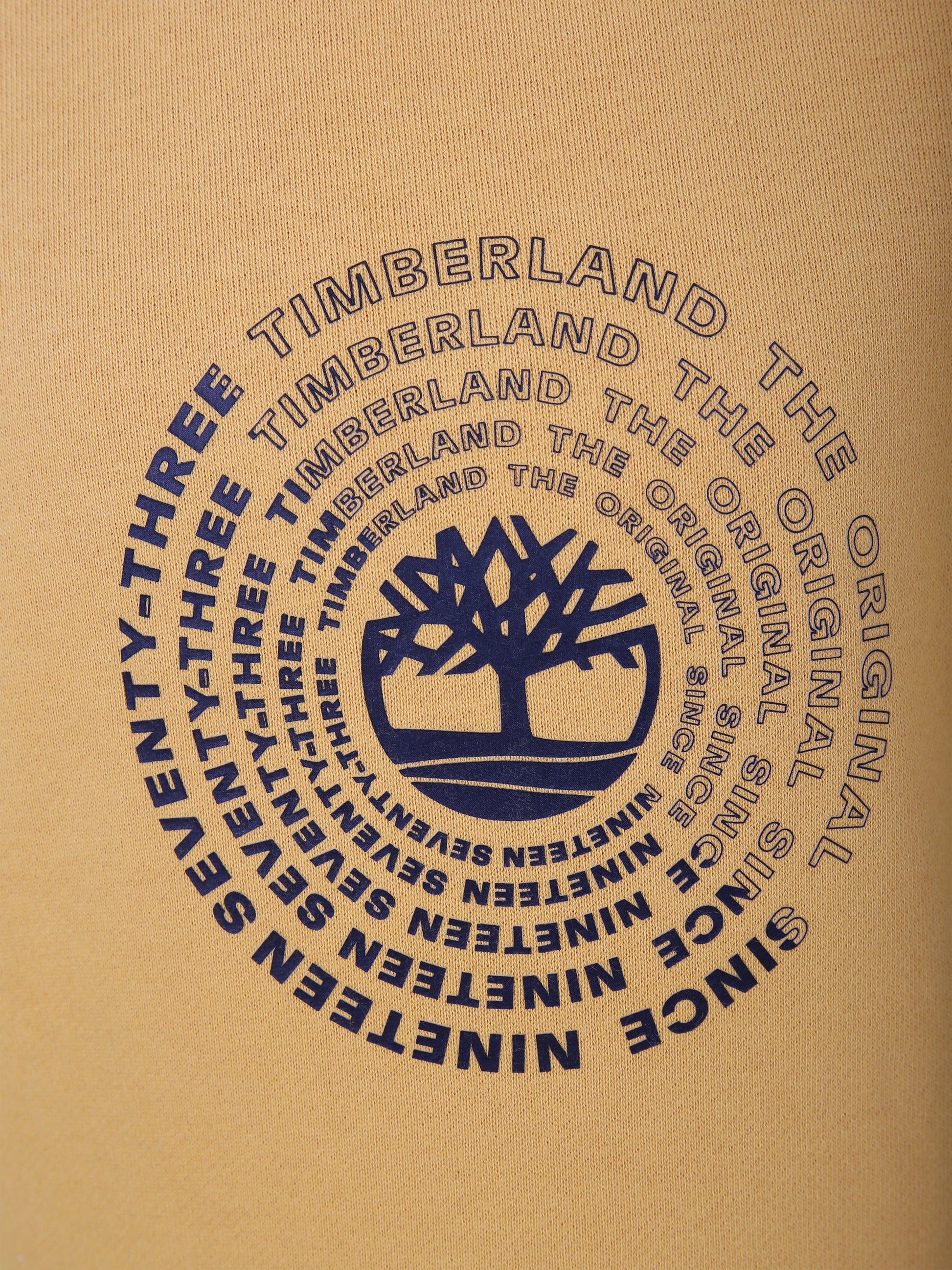 Felpa gialla per bambino con stampa,Timberland,T25U55 575