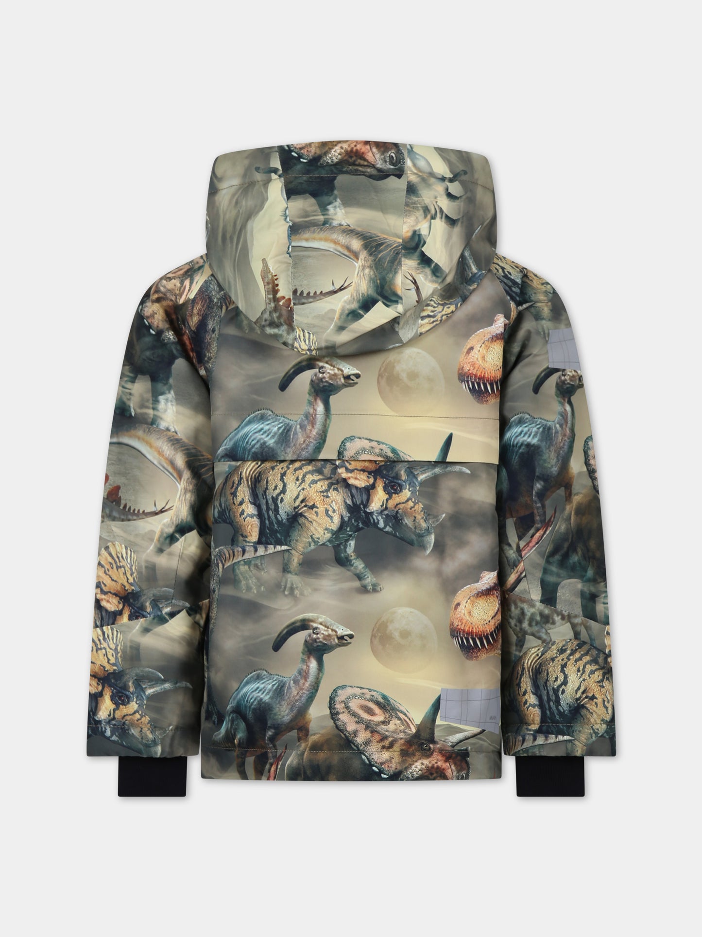 Piumino multicolor per bambino con stampa e logo,Molo,5W23M317 6848