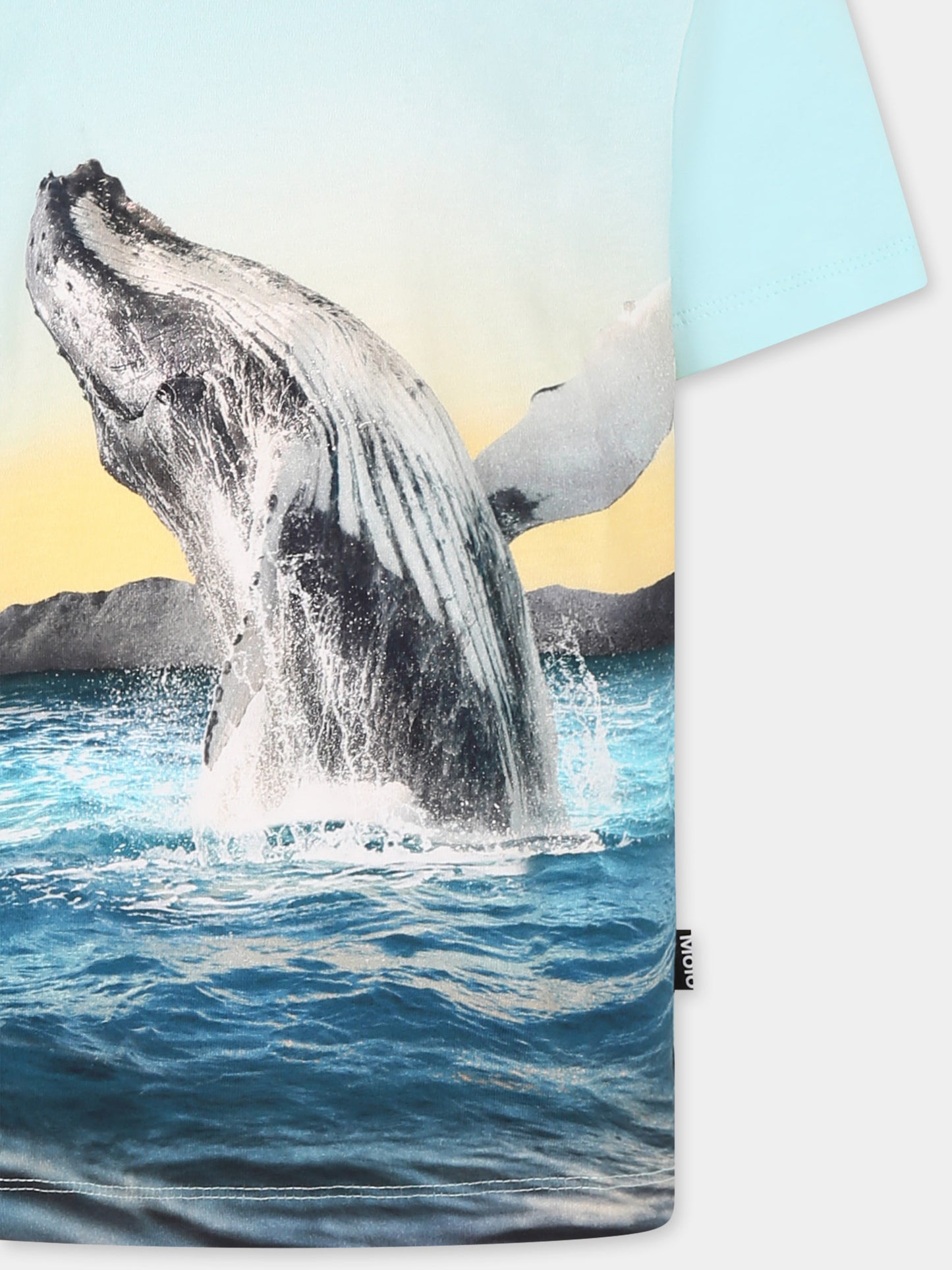 T-shirt Rame celeste per bambino con balena,Molo,1S25A212 3870